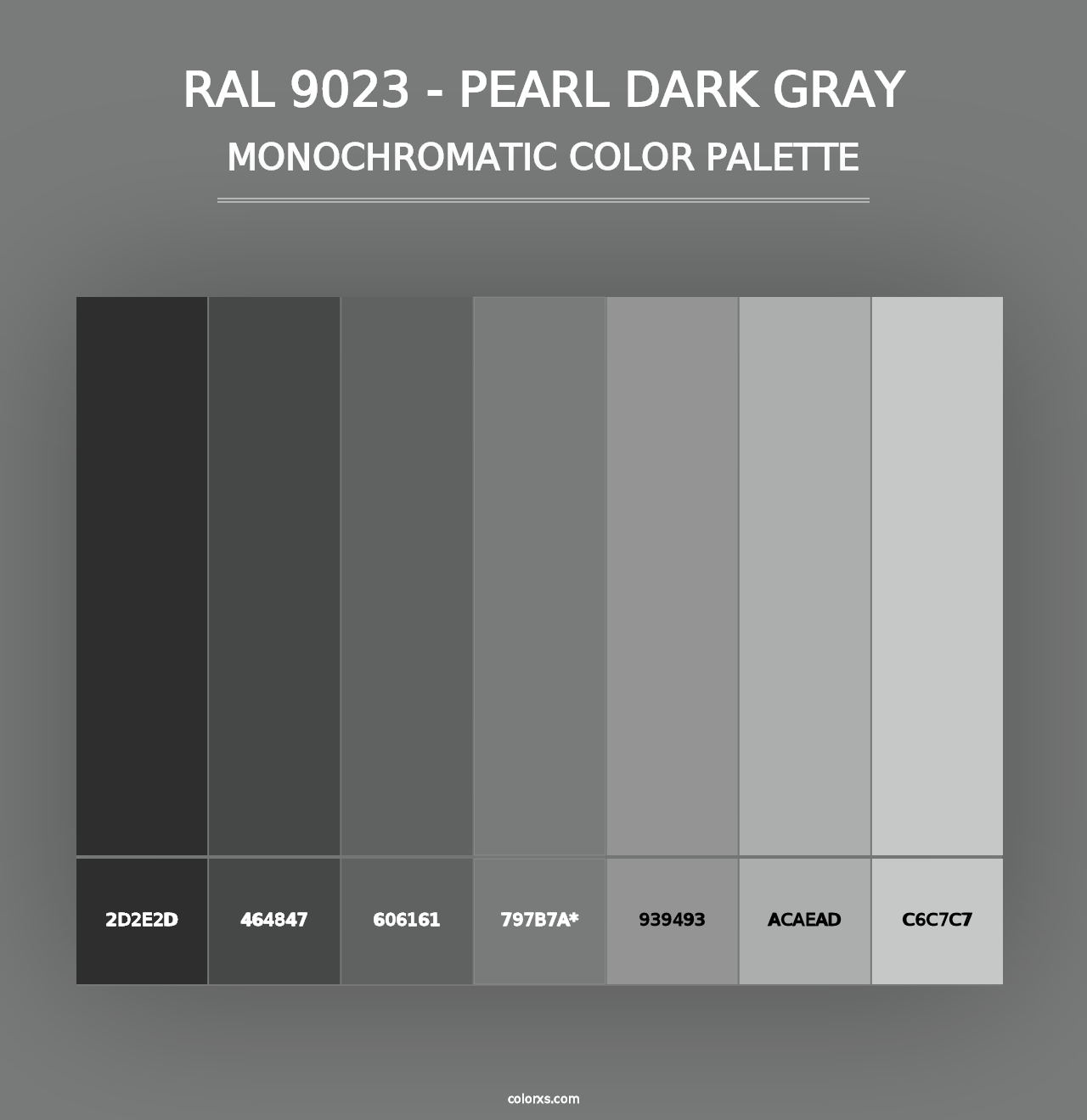 RAL 9023 - Pearl Dark Gray - Monochromatic Color Palette