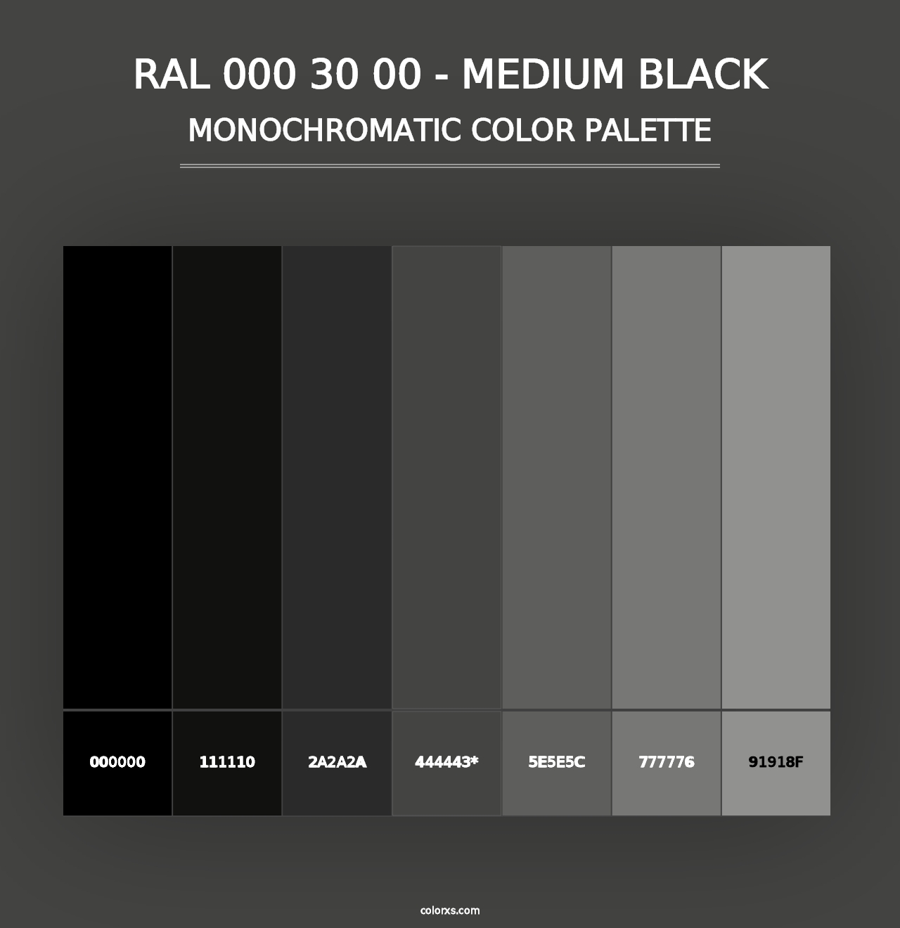 RAL 000 30 00 - Medium Black - Monochromatic Color Palette