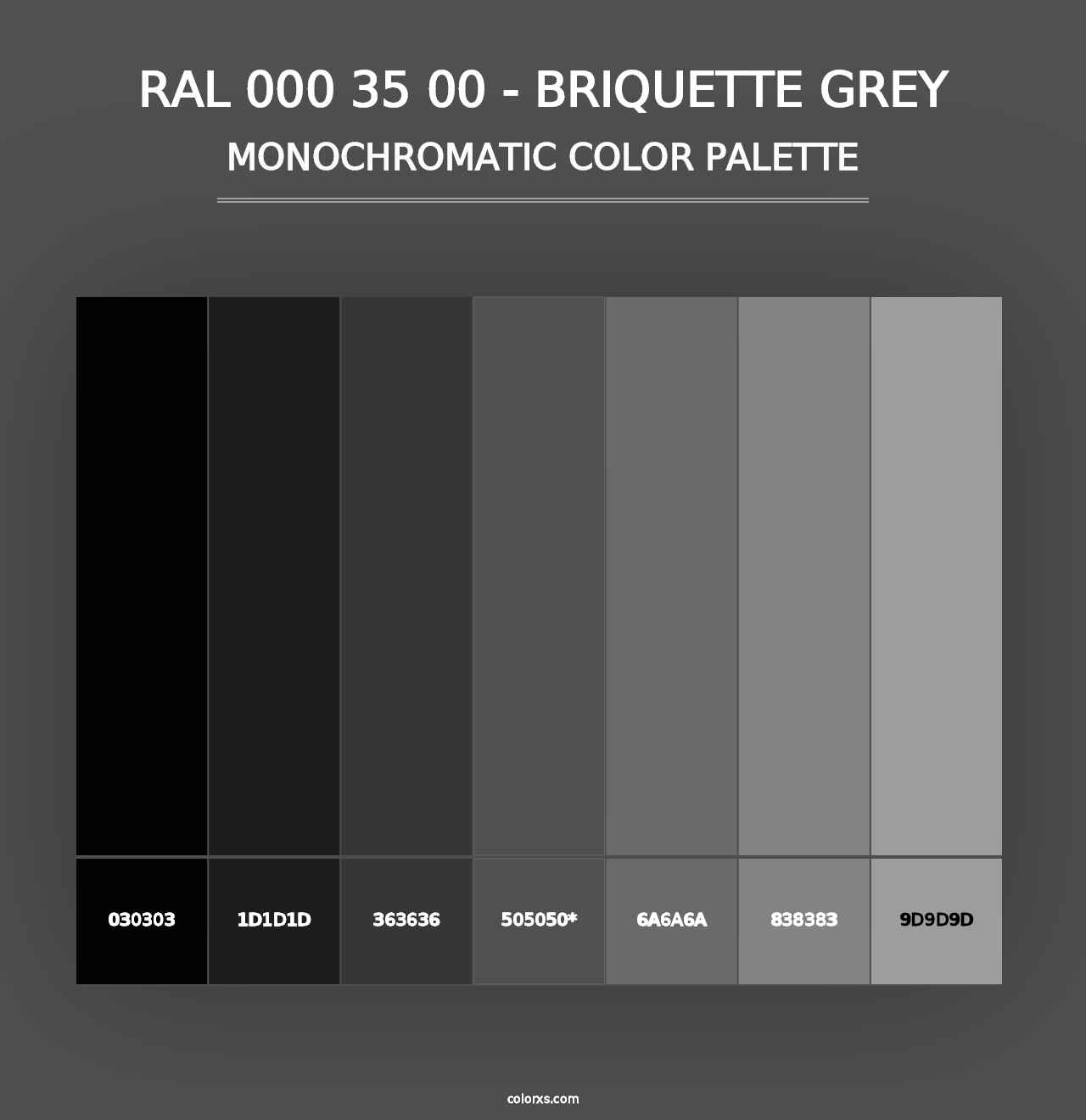 RAL 000 35 00 - Briquette Grey - Monochromatic Color Palette