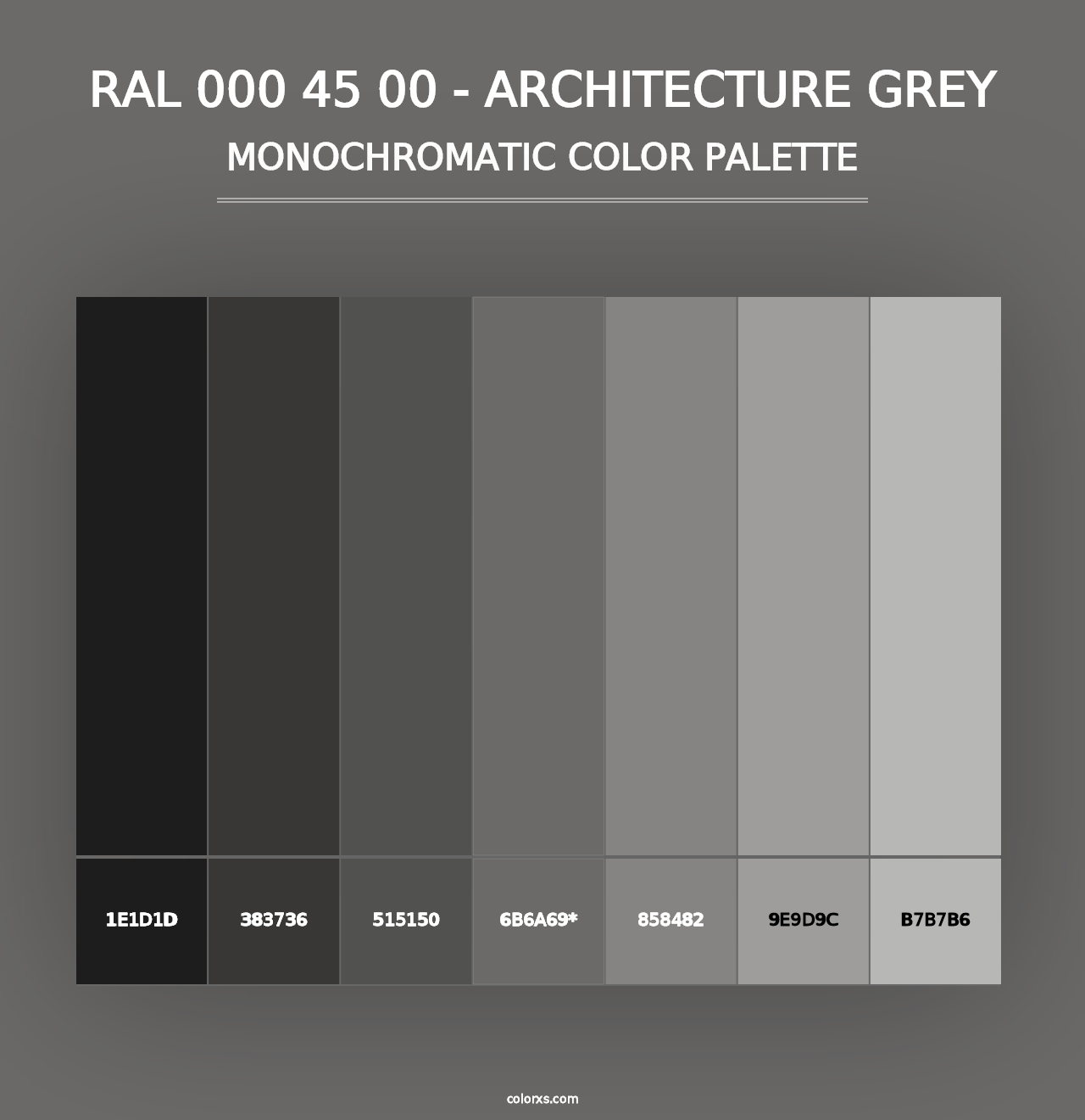 RAL 000 45 00 - Architecture Grey - Monochromatic Color Palette