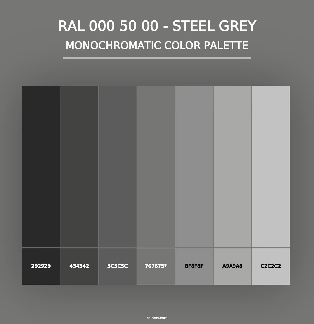 RAL 000 50 00 - Steel Grey - Monochromatic Color Palette