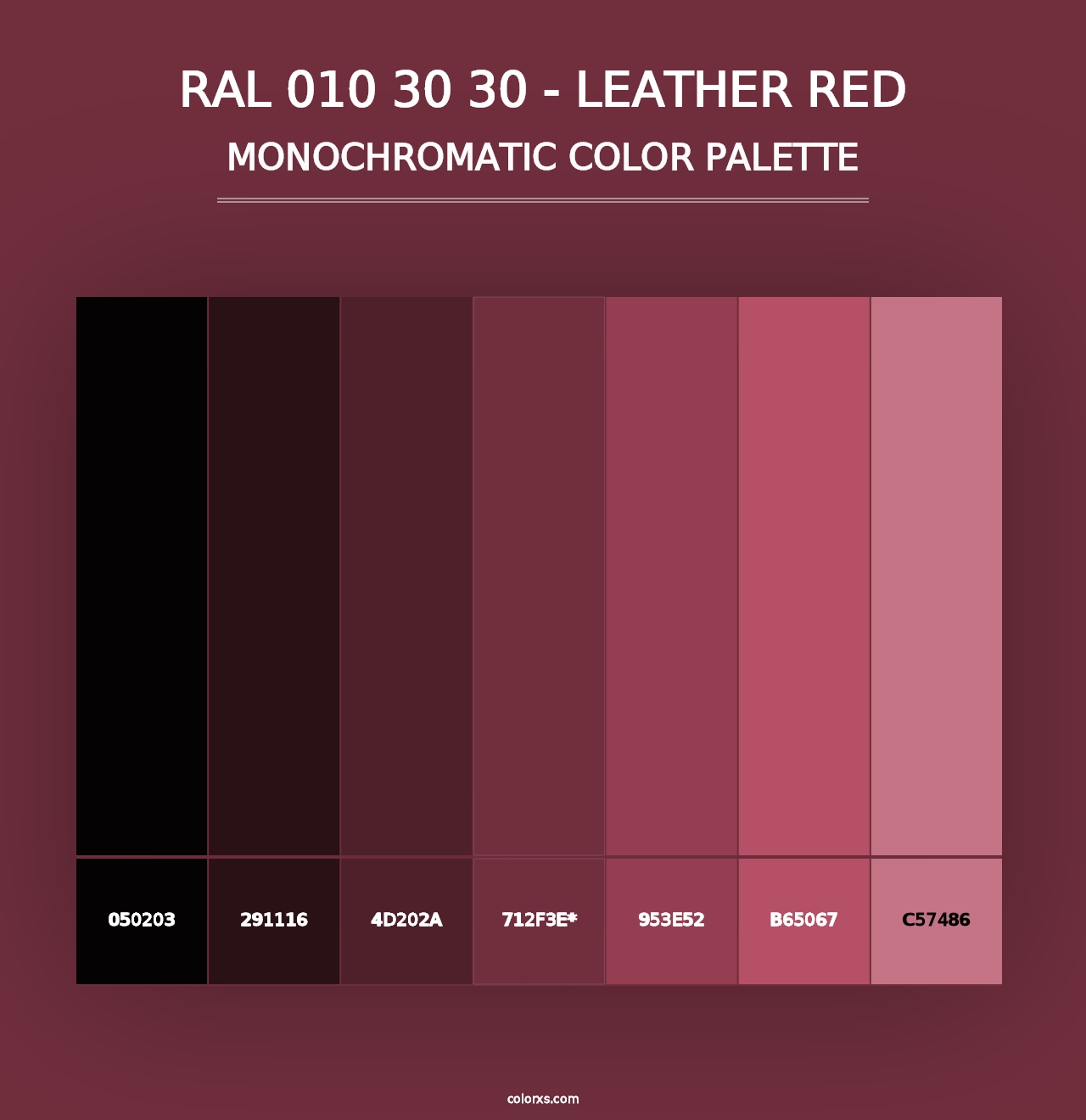 RAL 010 30 30 - Leather Red - Monochromatic Color Palette