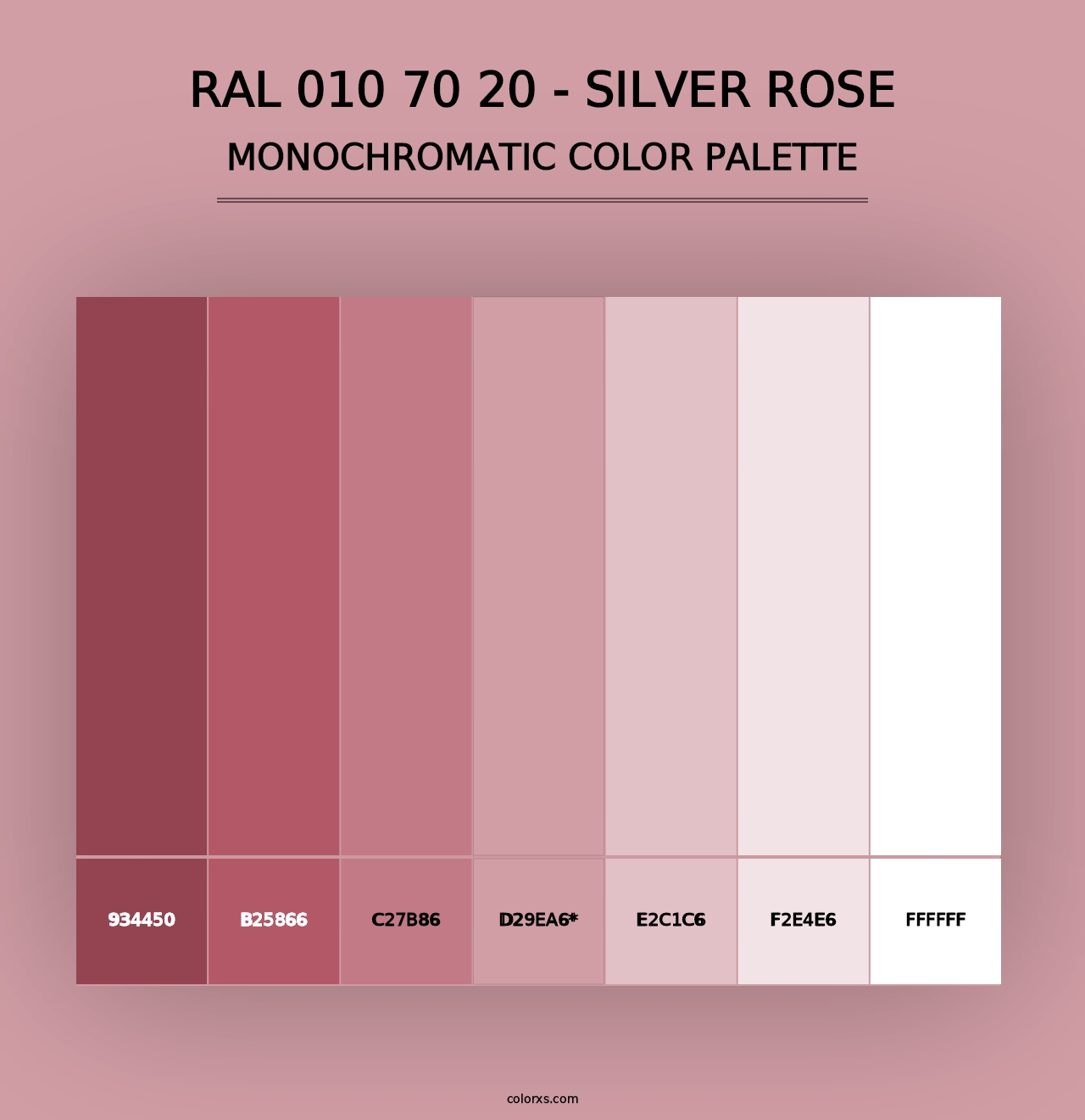 RAL 010 70 20 - Silver Rose - Monochromatic Color Palette