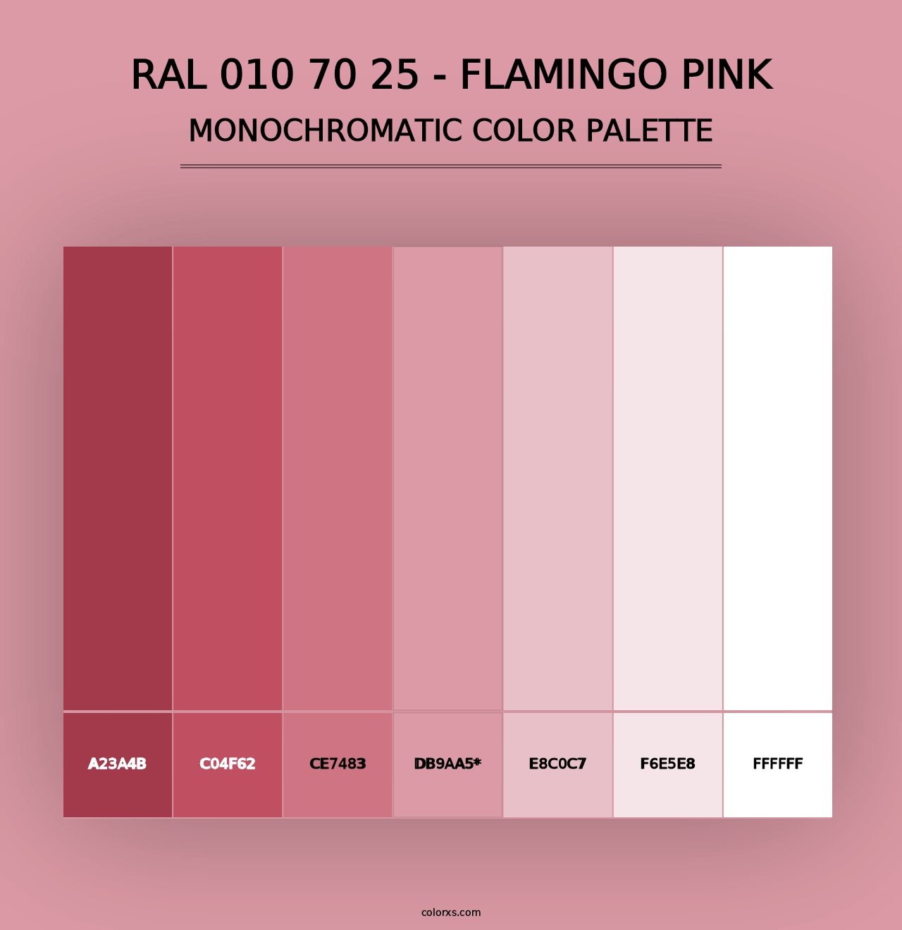 RAL 010 70 25 - Flamingo Pink - Monochromatic Color Palette