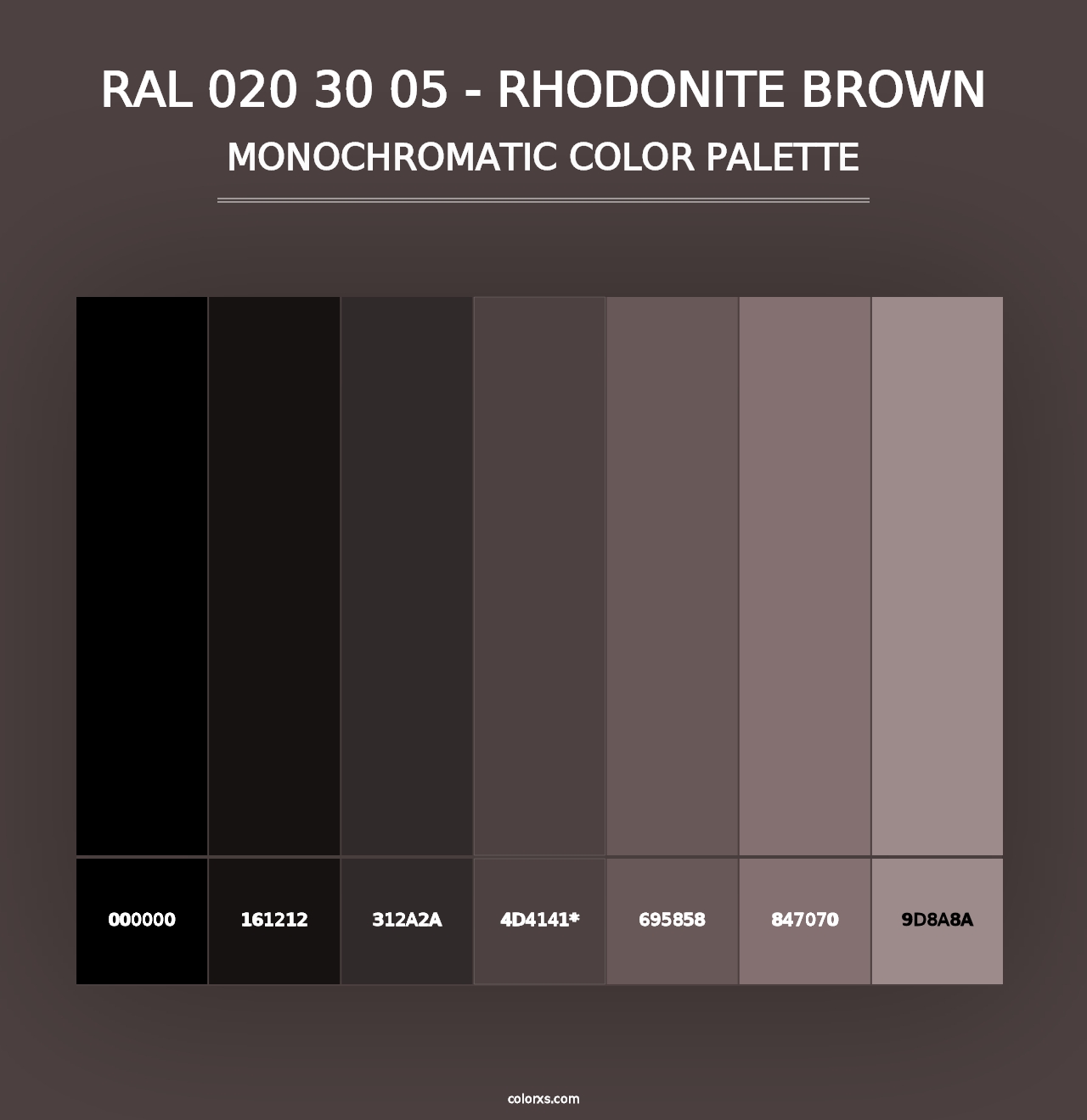 RAL 020 30 05 - Rhodonite Brown - Monochromatic Color Palette