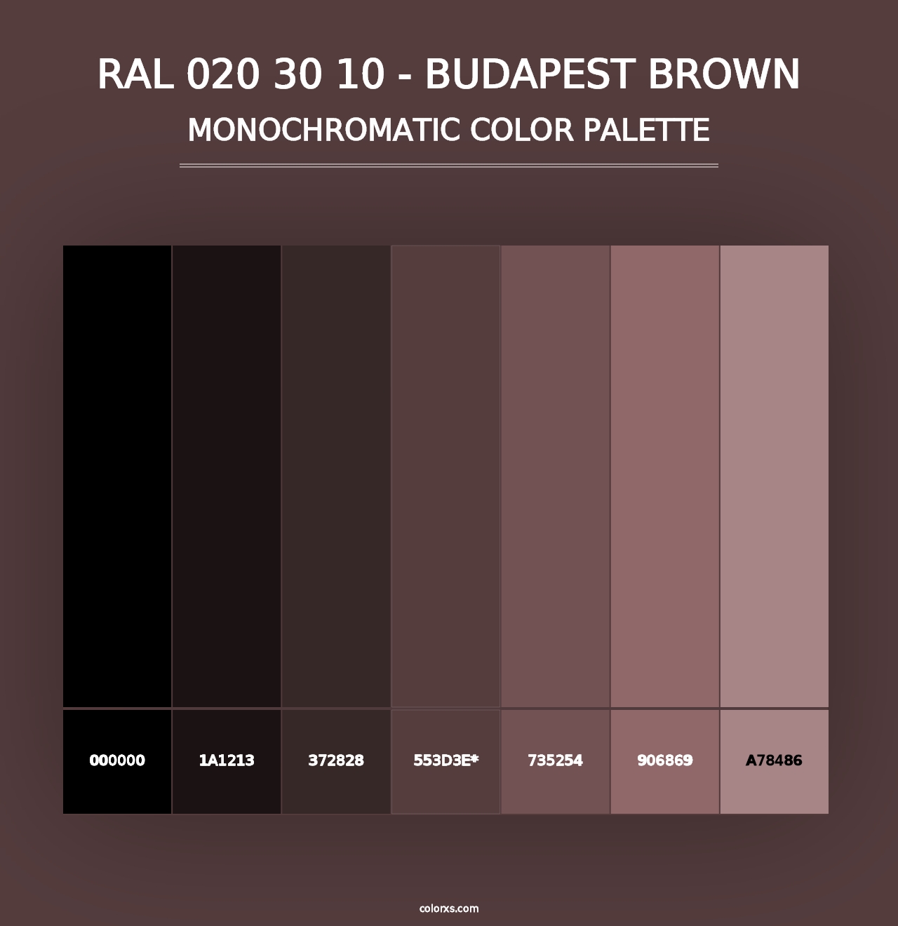 RAL 020 30 10 - Budapest Brown - Monochromatic Color Palette