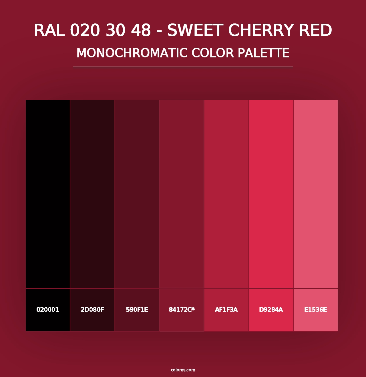 RAL 020 30 48 - Sweet Cherry Red - Monochromatic Color Palette