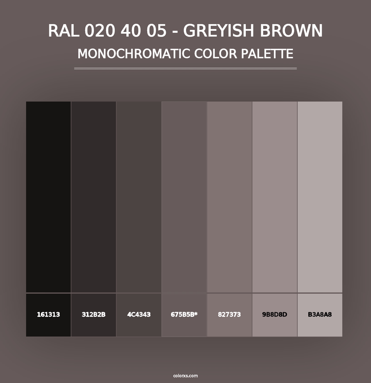 RAL 020 40 05 - Greyish Brown - Monochromatic Color Palette