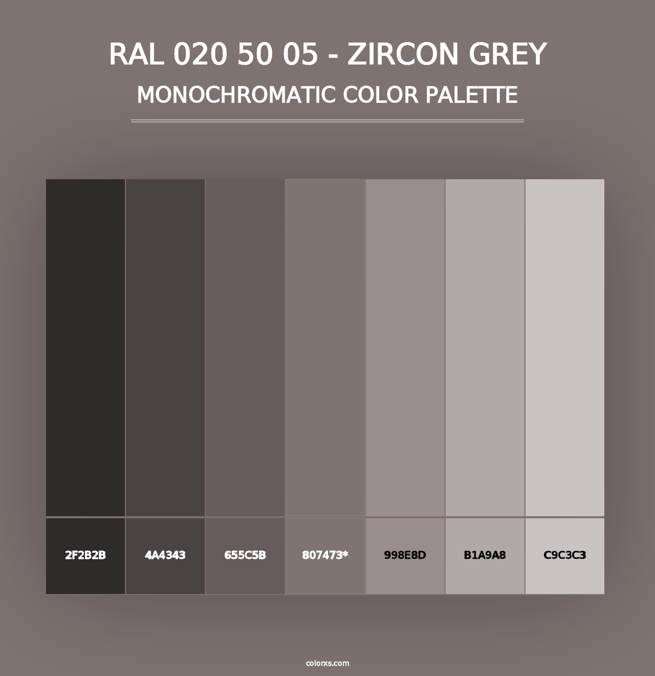 RAL 020 50 05 - Zircon Grey - Monochromatic Color Palette