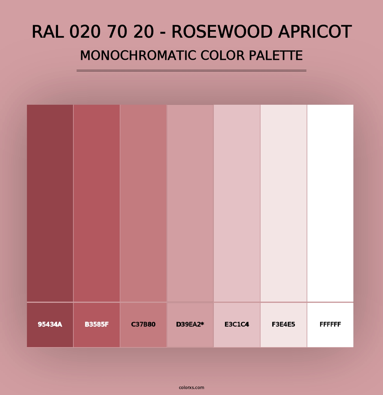 RAL 020 70 20 - Rosewood Apricot - Monochromatic Color Palette