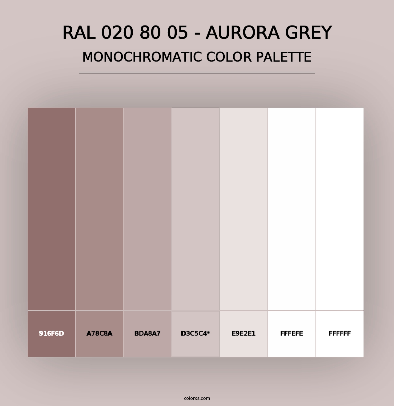 RAL 020 80 05 - Aurora Grey - Monochromatic Color Palette