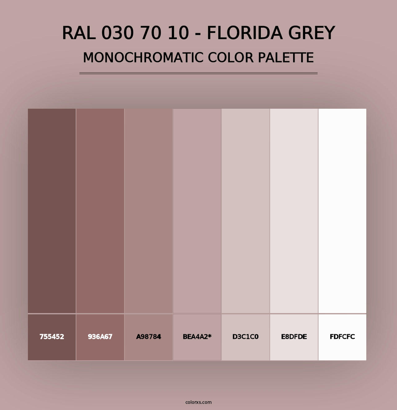 RAL 030 70 10 - Florida Grey - Monochromatic Color Palette