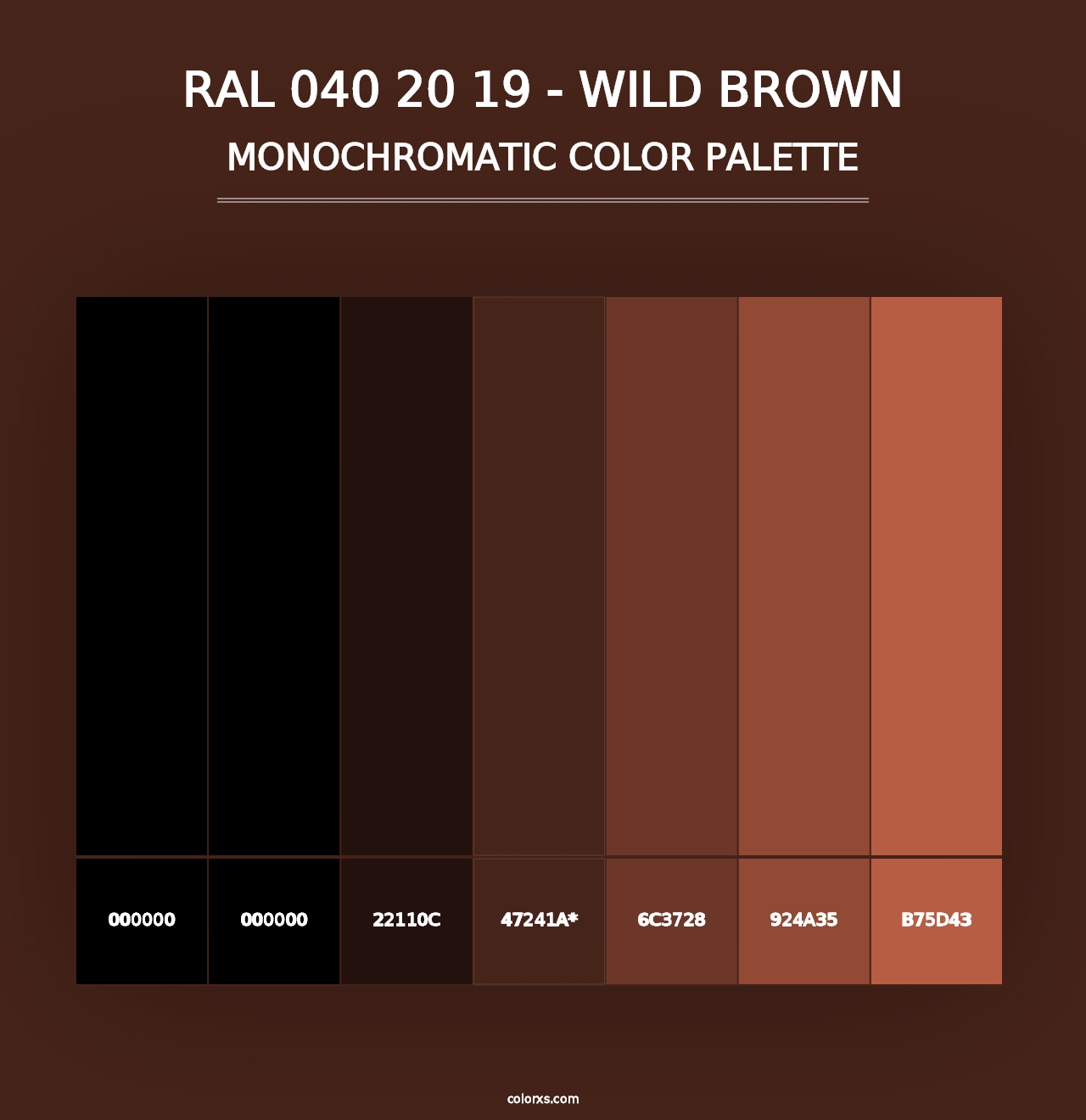 RAL 040 20 19 - Wild Brown - Monochromatic Color Palette