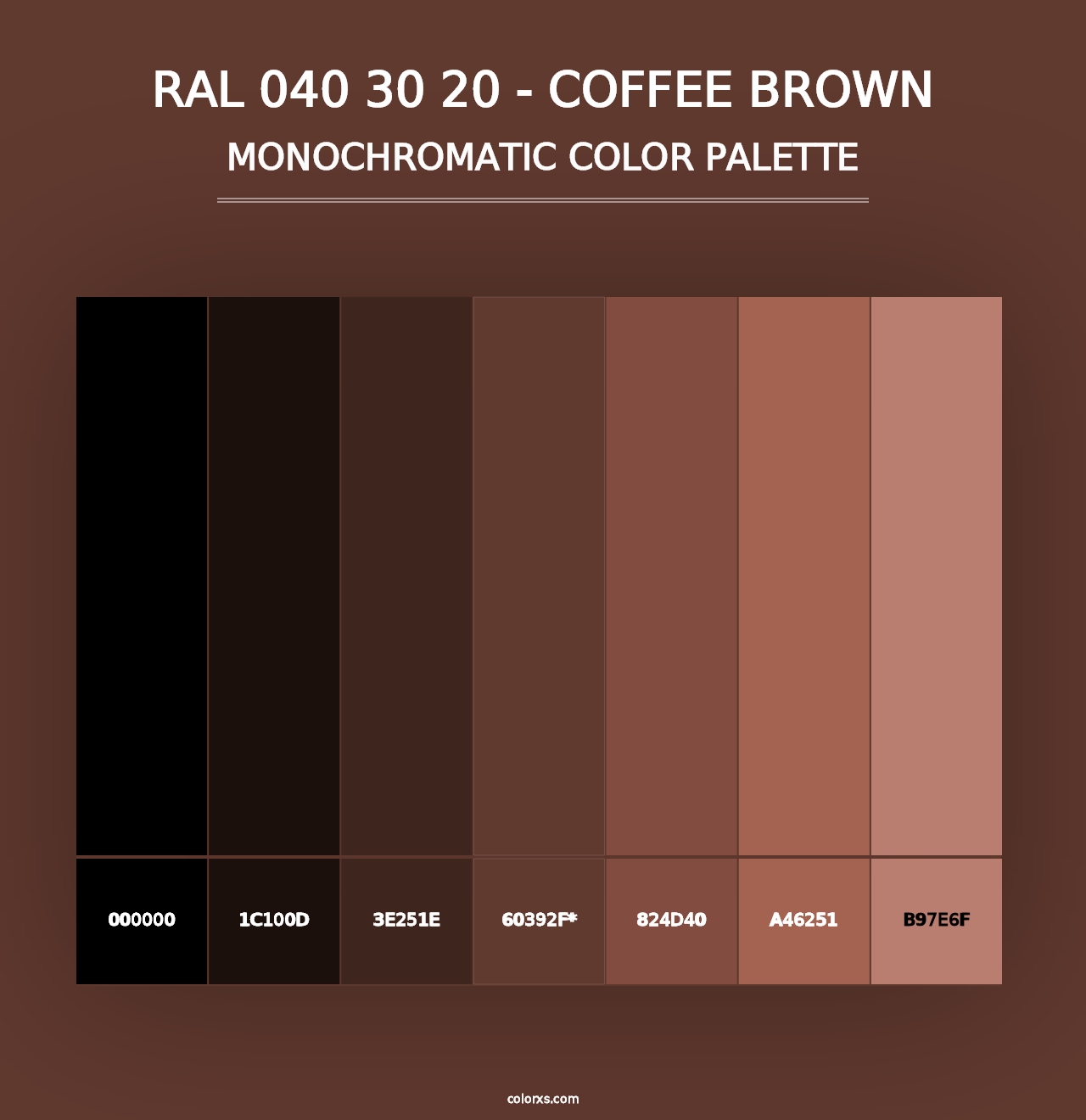 RAL 040 30 20 - Coffee Brown - Monochromatic Color Palette