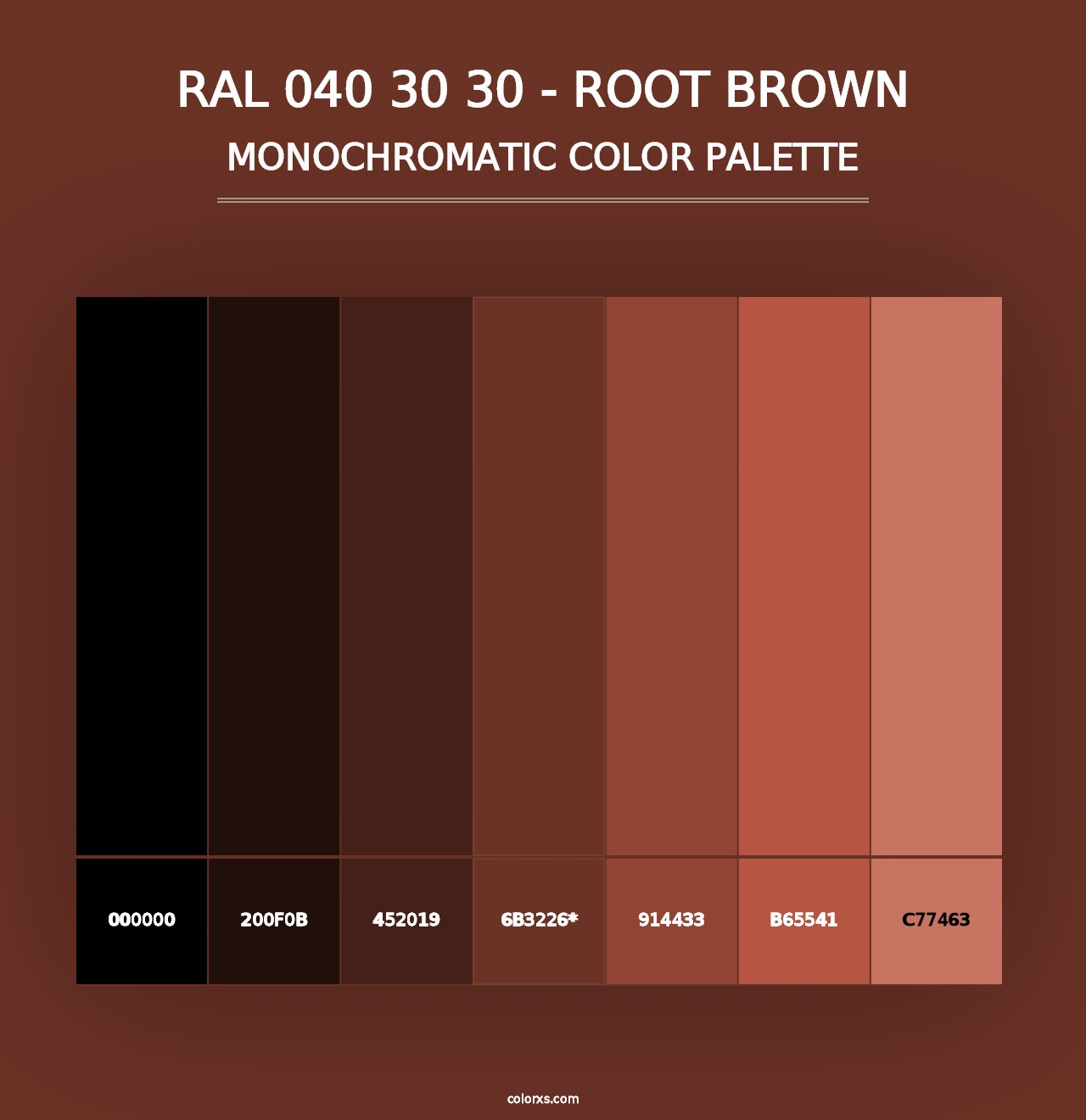 RAL 040 30 30 - Root Brown - Monochromatic Color Palette