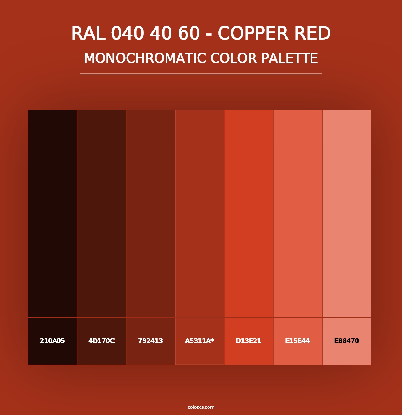 RAL 040 40 60 - Copper Red - Monochromatic Color Palette