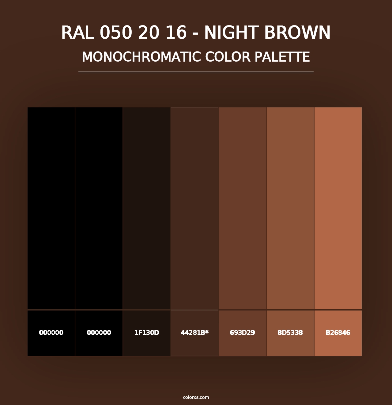 RAL 050 20 16 - Night Brown - Monochromatic Color Palette