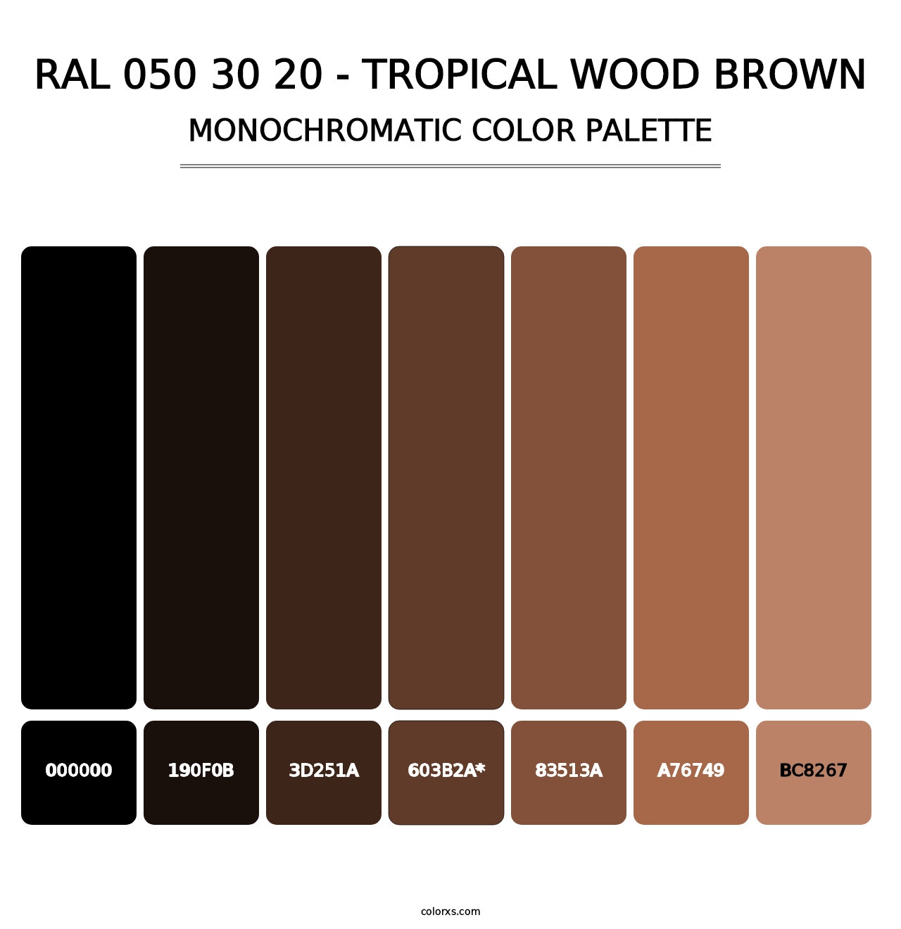 RAL 050 30 20 - Tropical Wood Brown - Monochromatic Color Palette