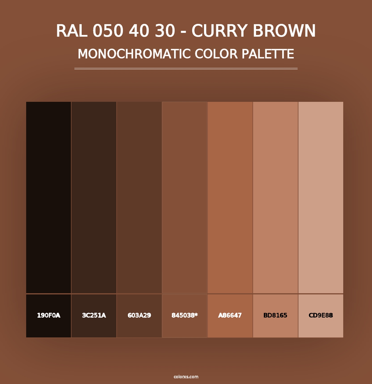 RAL 050 40 30 - Curry Brown - Monochromatic Color Palette