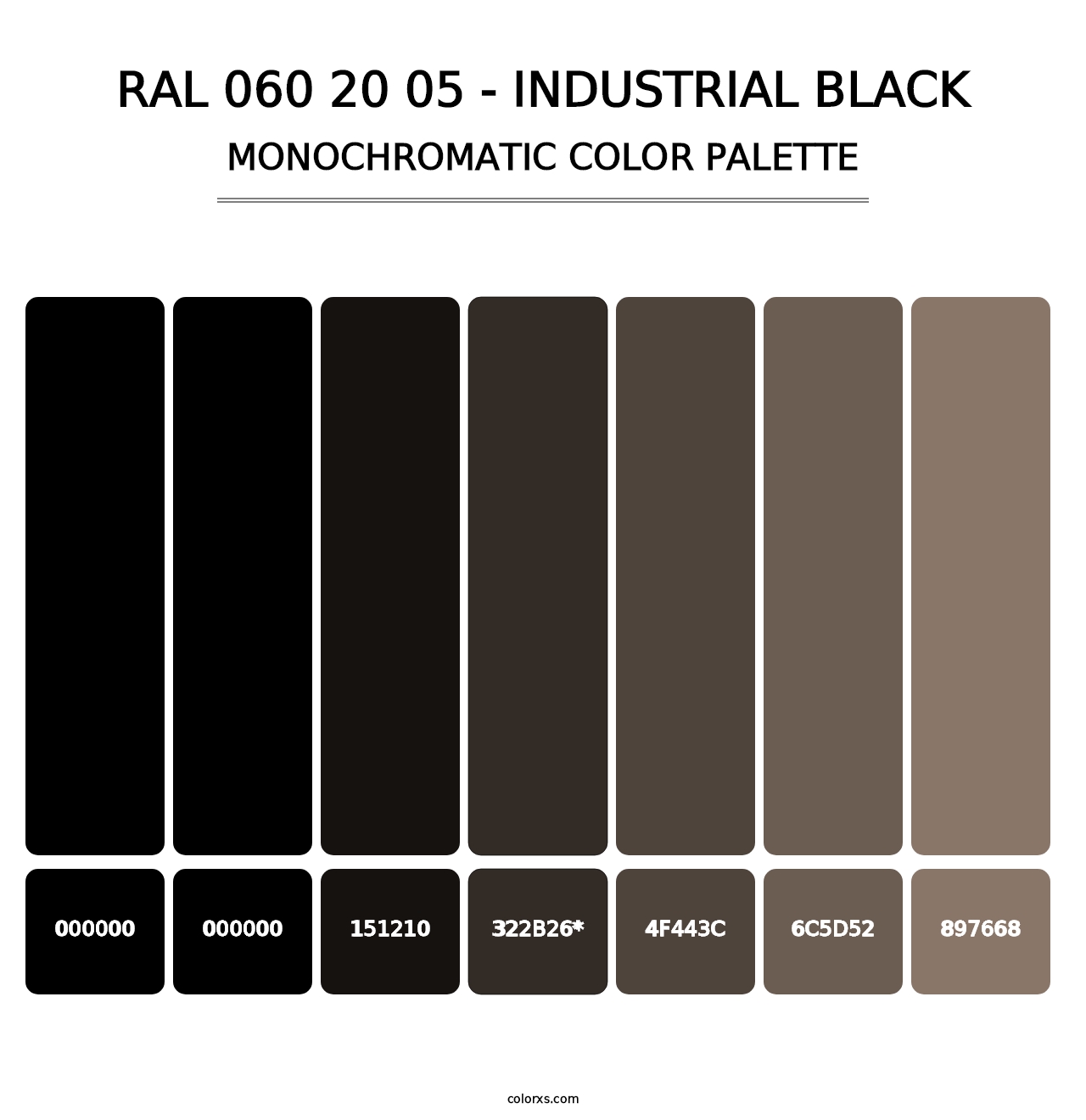 RAL 060 20 05 - Industrial Black - Monochromatic Color Palette