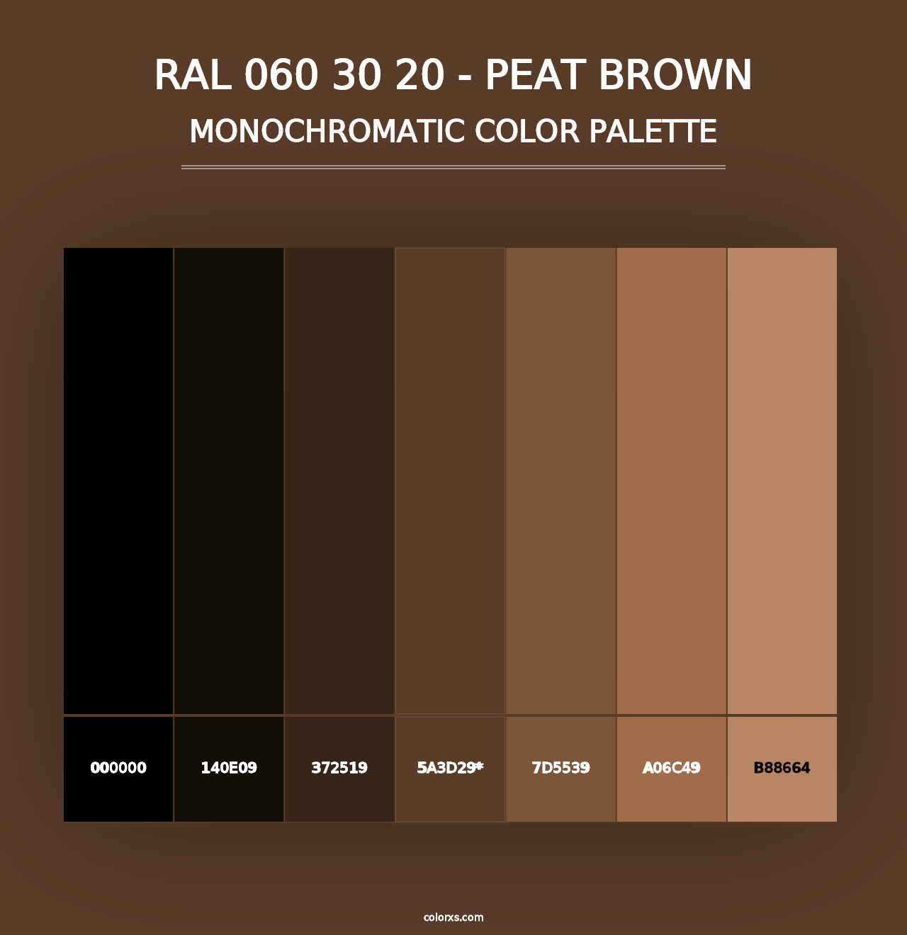 RAL 060 30 20 - Peat Brown - Monochromatic Color Palette