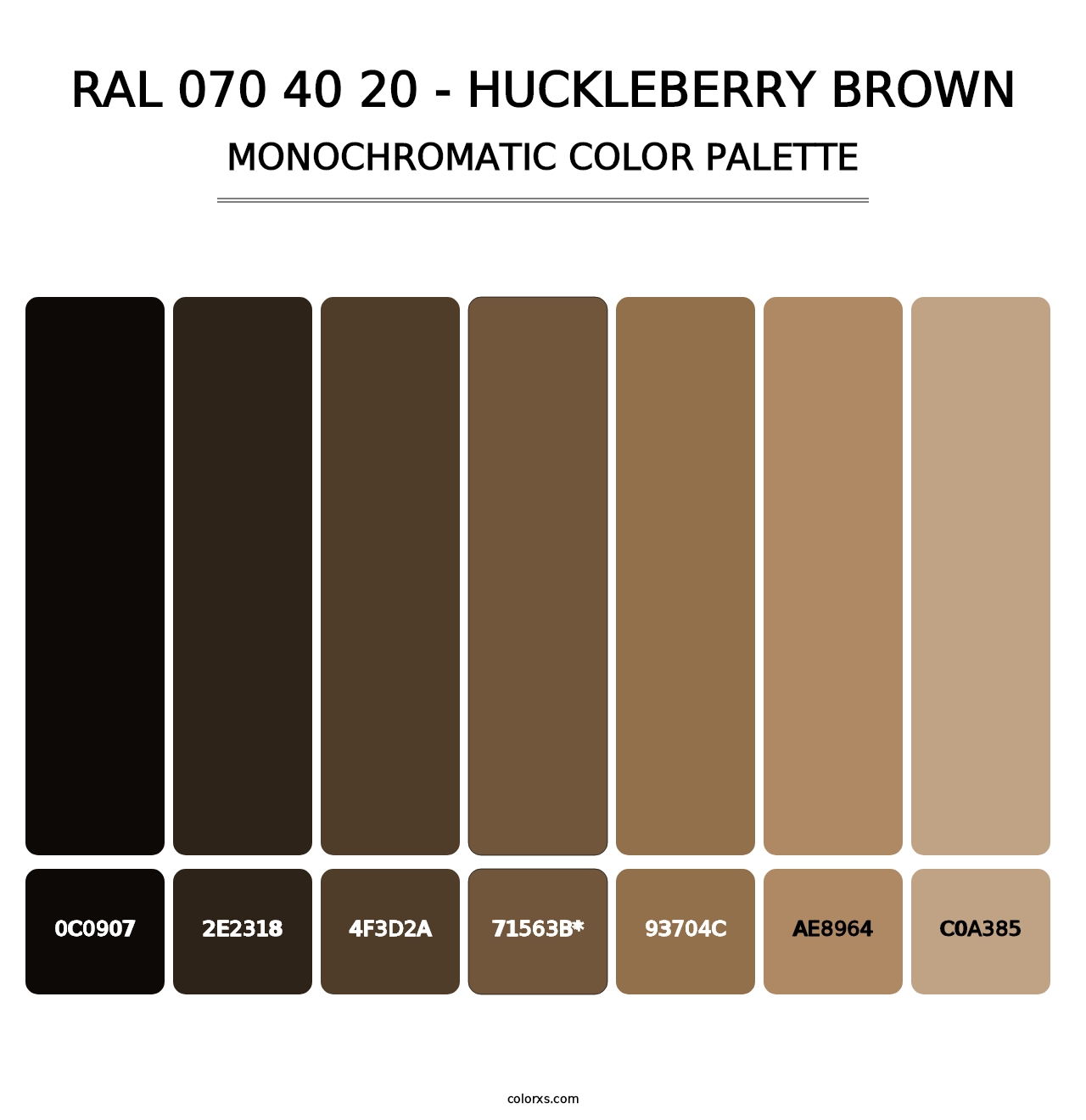 RAL 070 40 20 - Huckleberry Brown - Monochromatic Color Palette