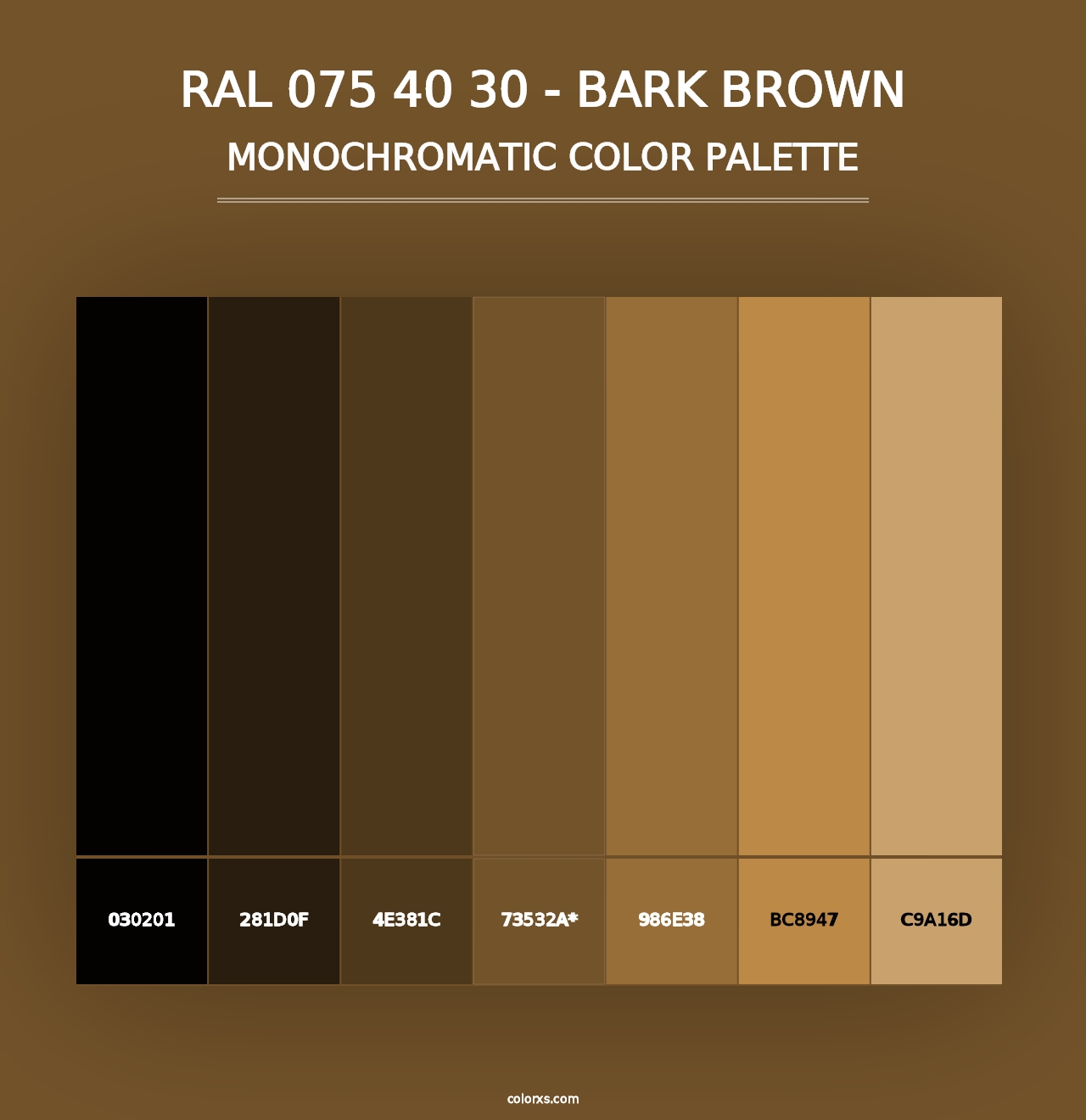 RAL 075 40 30 - Bark Brown - Monochromatic Color Palette