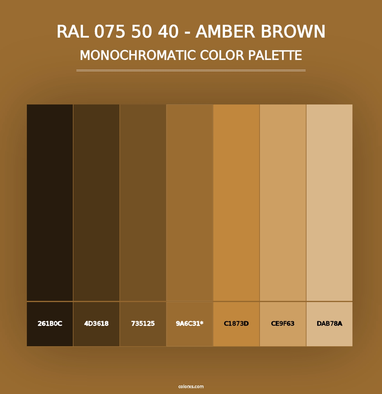 RAL 075 50 40 - Amber Brown - Monochromatic Color Palette