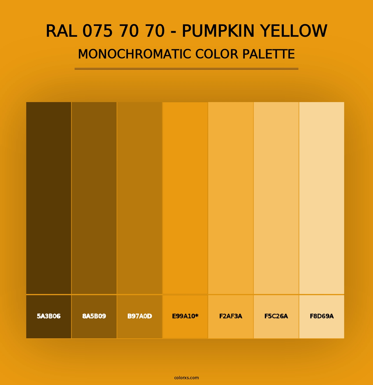 RAL 075 70 70 - Pumpkin Yellow - Monochromatic Color Palette