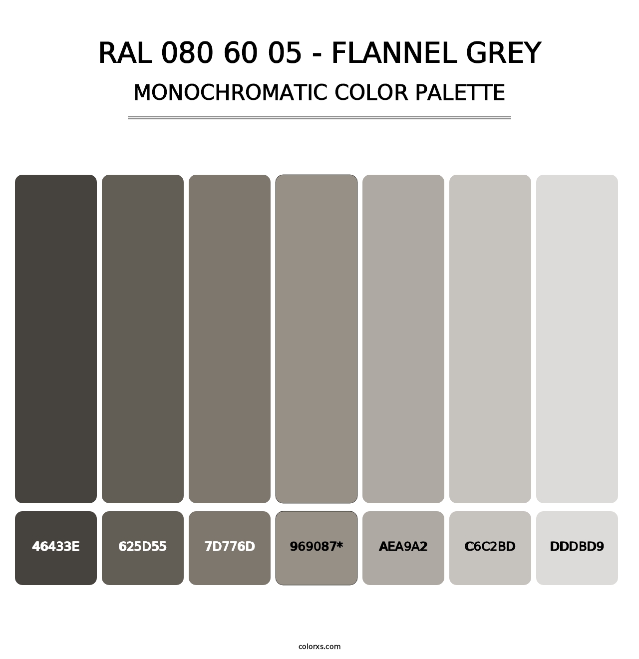 RAL 080 60 05 - Flannel Grey - Monochromatic Color Palette