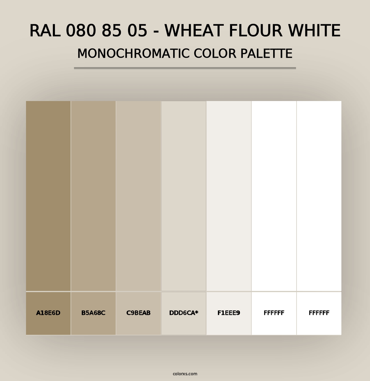 RAL 080 85 05 - Wheat Flour White - Monochromatic Color Palette