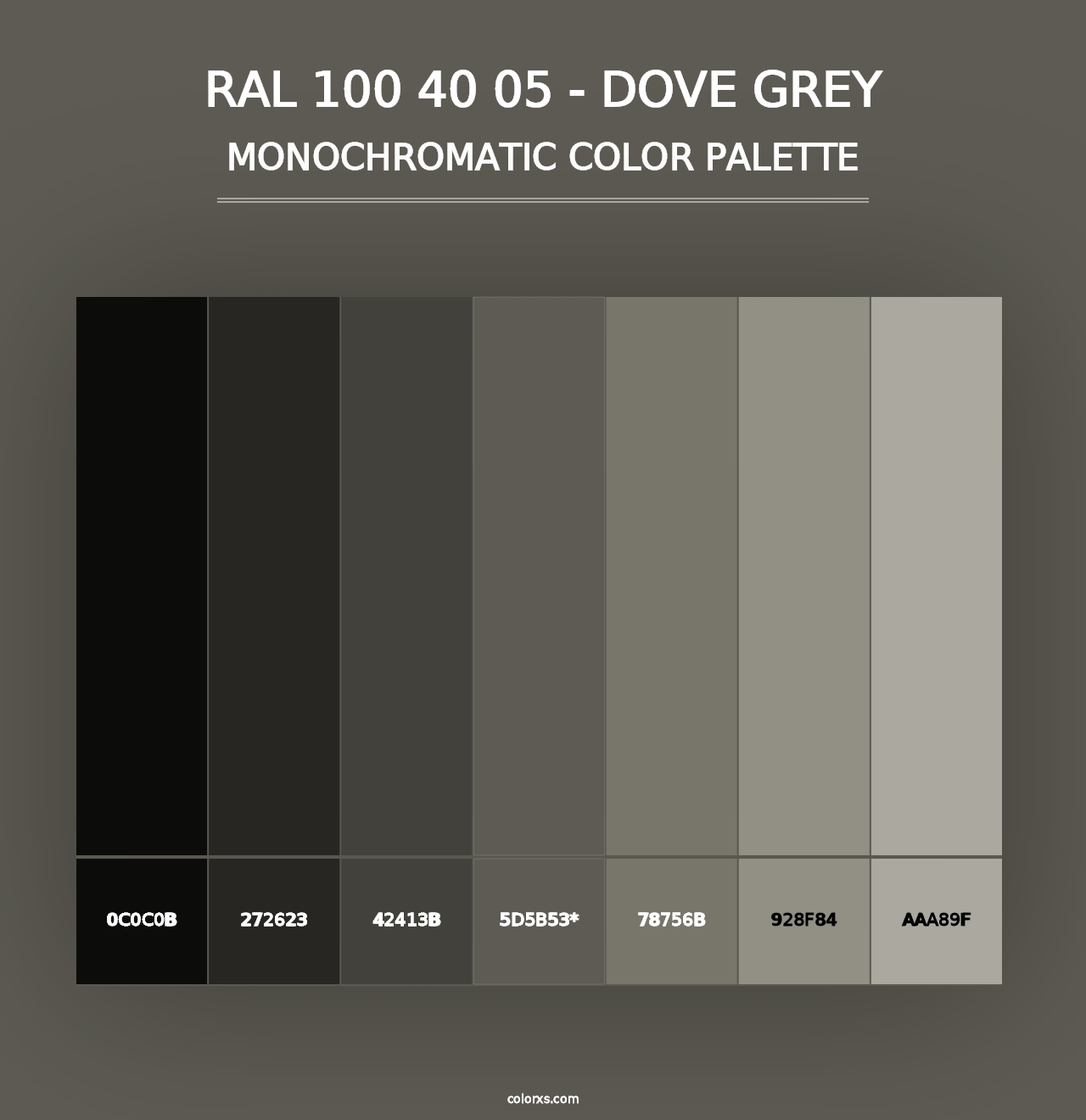 RAL 100 40 05 - Dove Grey - Monochromatic Color Palette