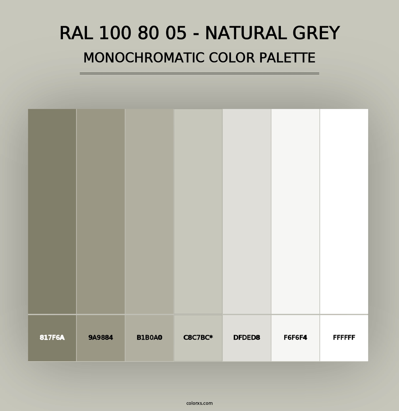 RAL 100 80 05 - Natural Grey - Monochromatic Color Palette