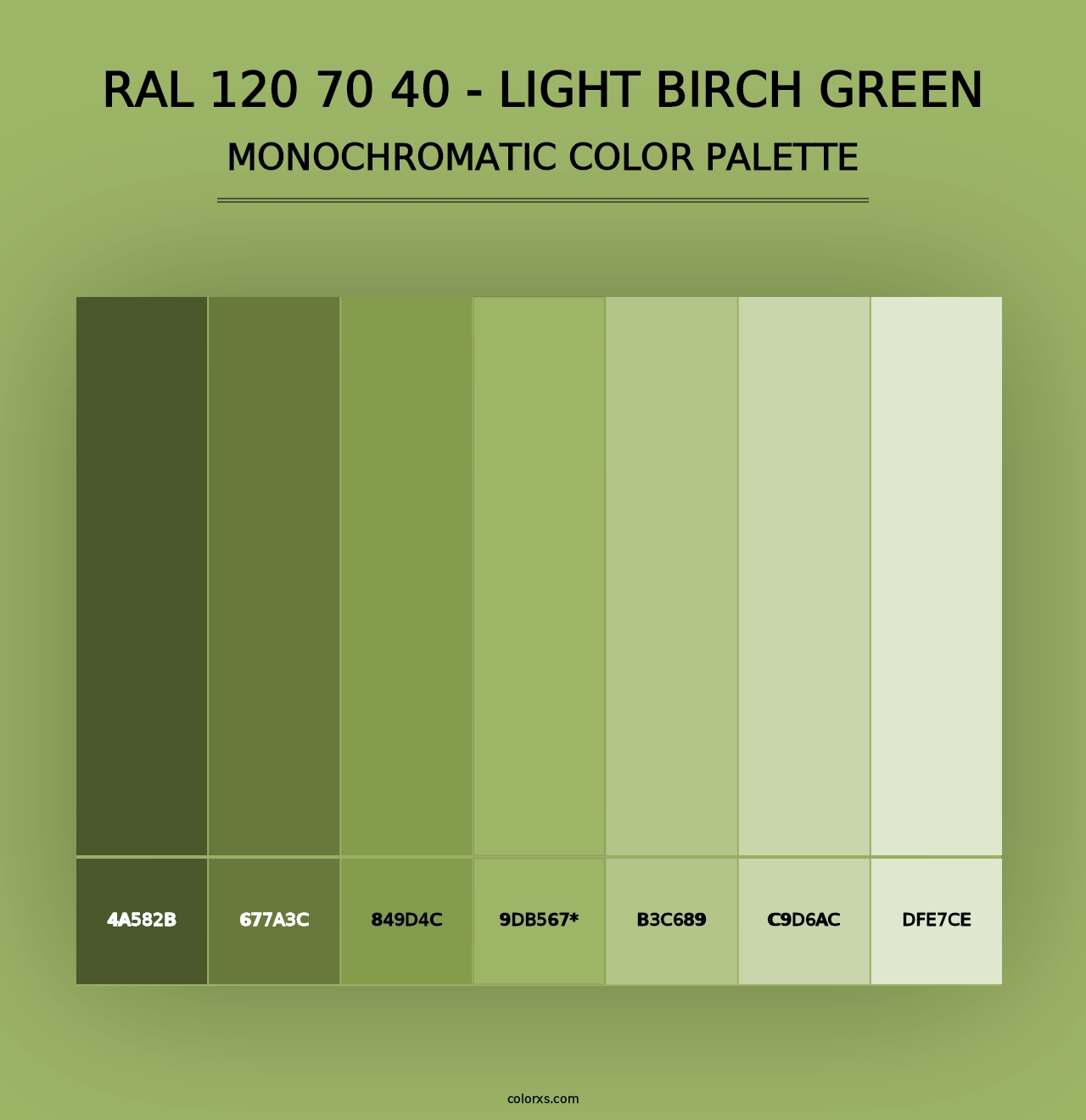 RAL 120 70 40 - Light Birch Green - Monochromatic Color Palette