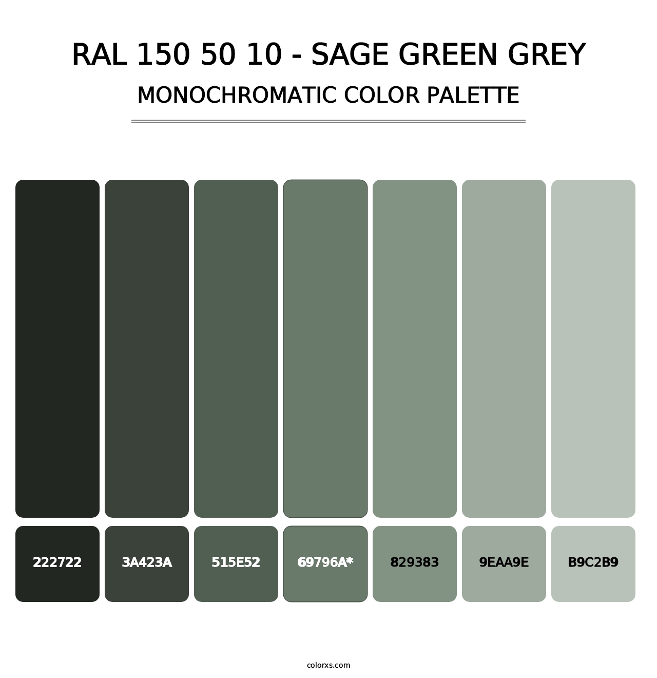 RAL 150 50 10 - Sage Green Grey - Monochromatic Color Palette