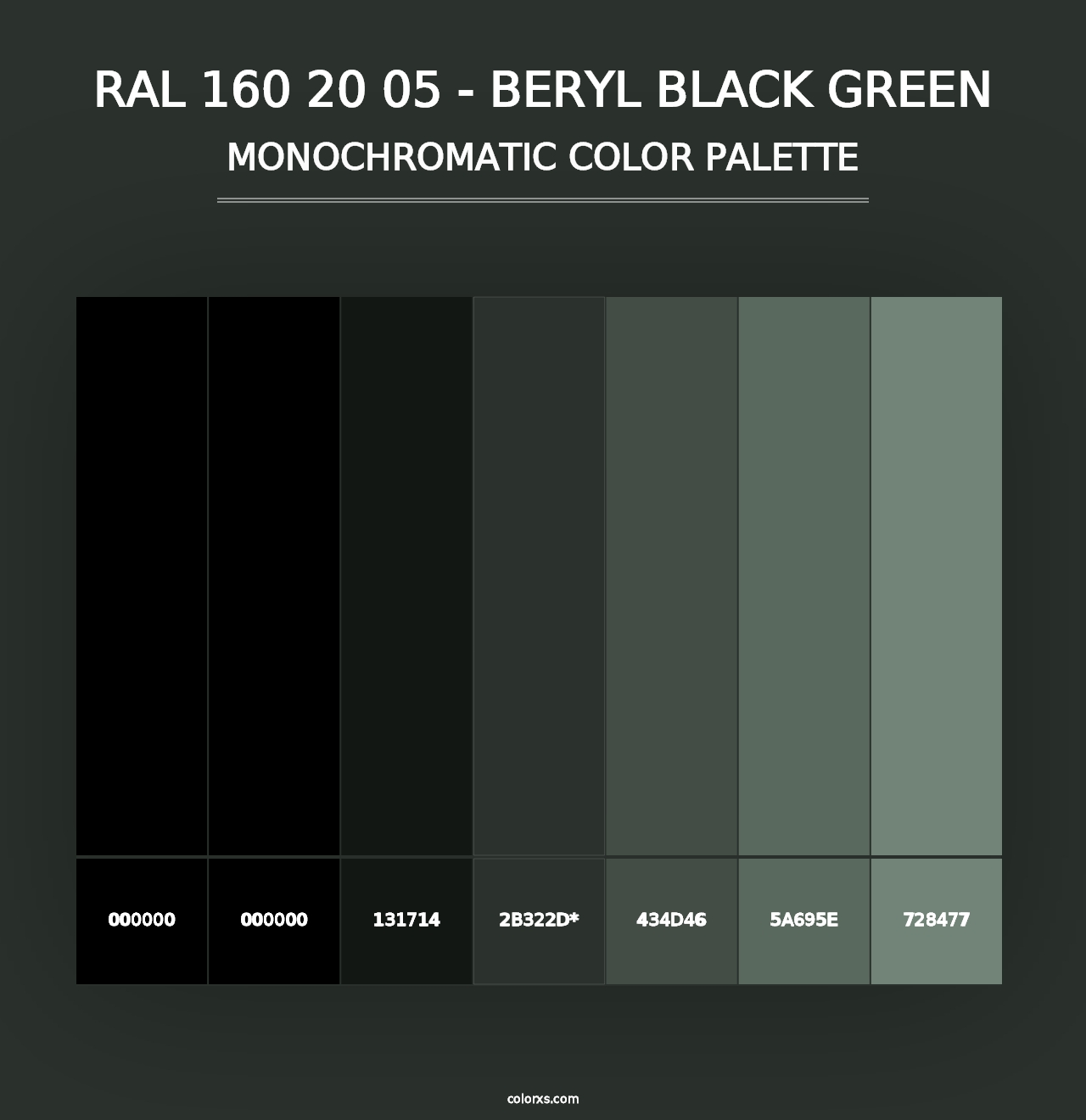 RAL 160 20 05 - Beryl Black Green - Monochromatic Color Palette