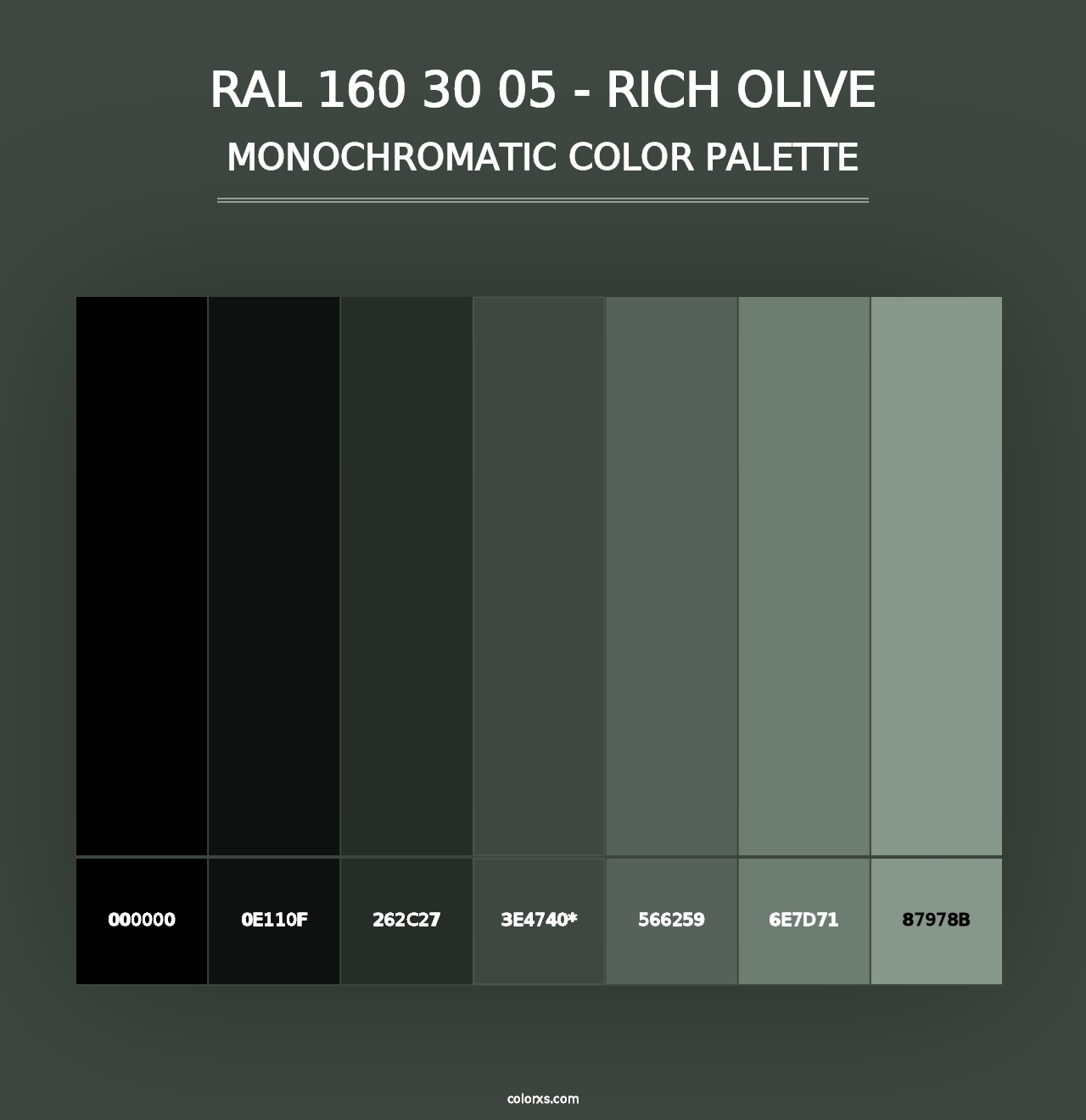 RAL 160 30 05 - Rich Olive - Monochromatic Color Palette