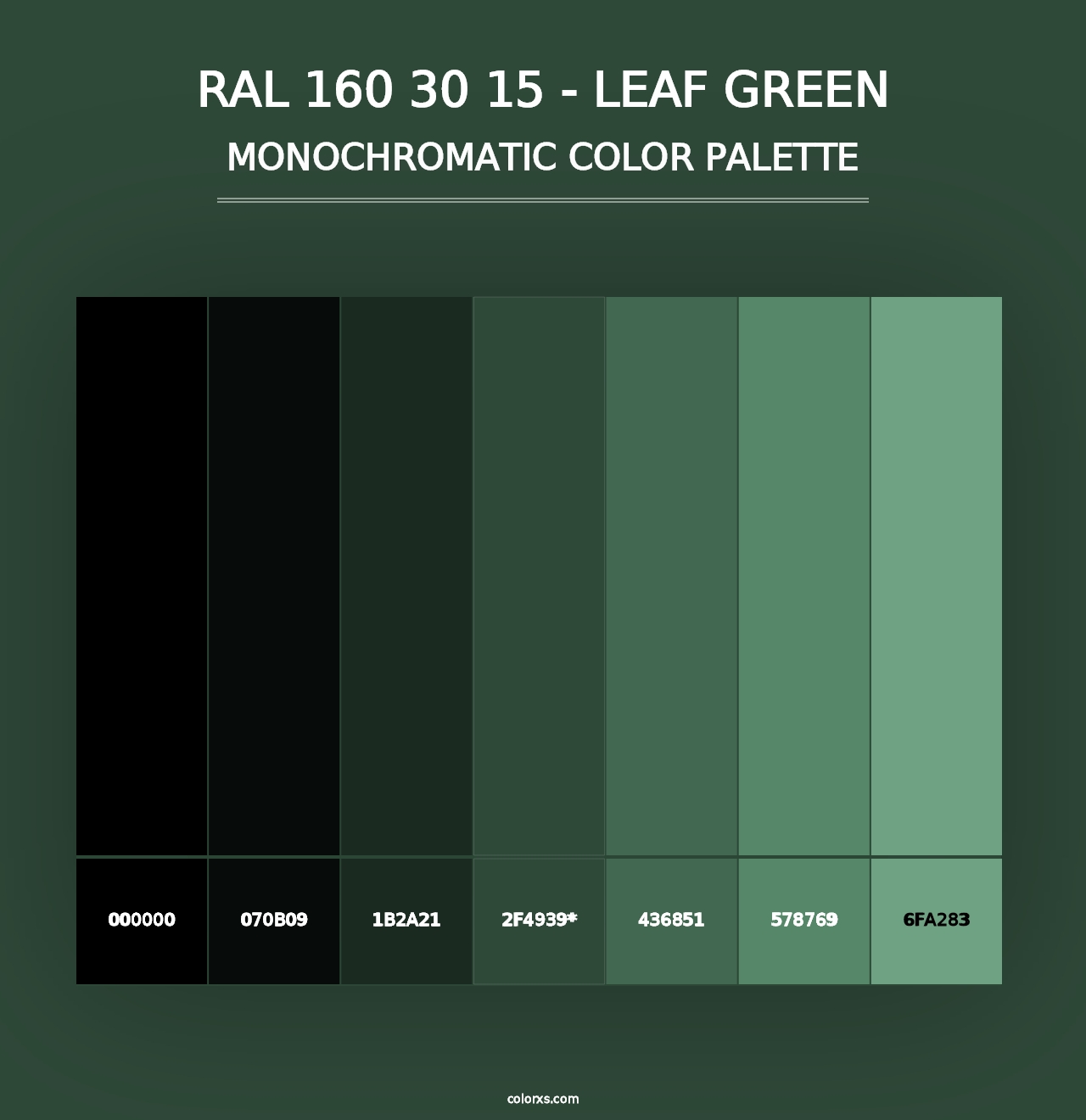 RAL 160 30 15 - Leaf Green - Monochromatic Color Palette