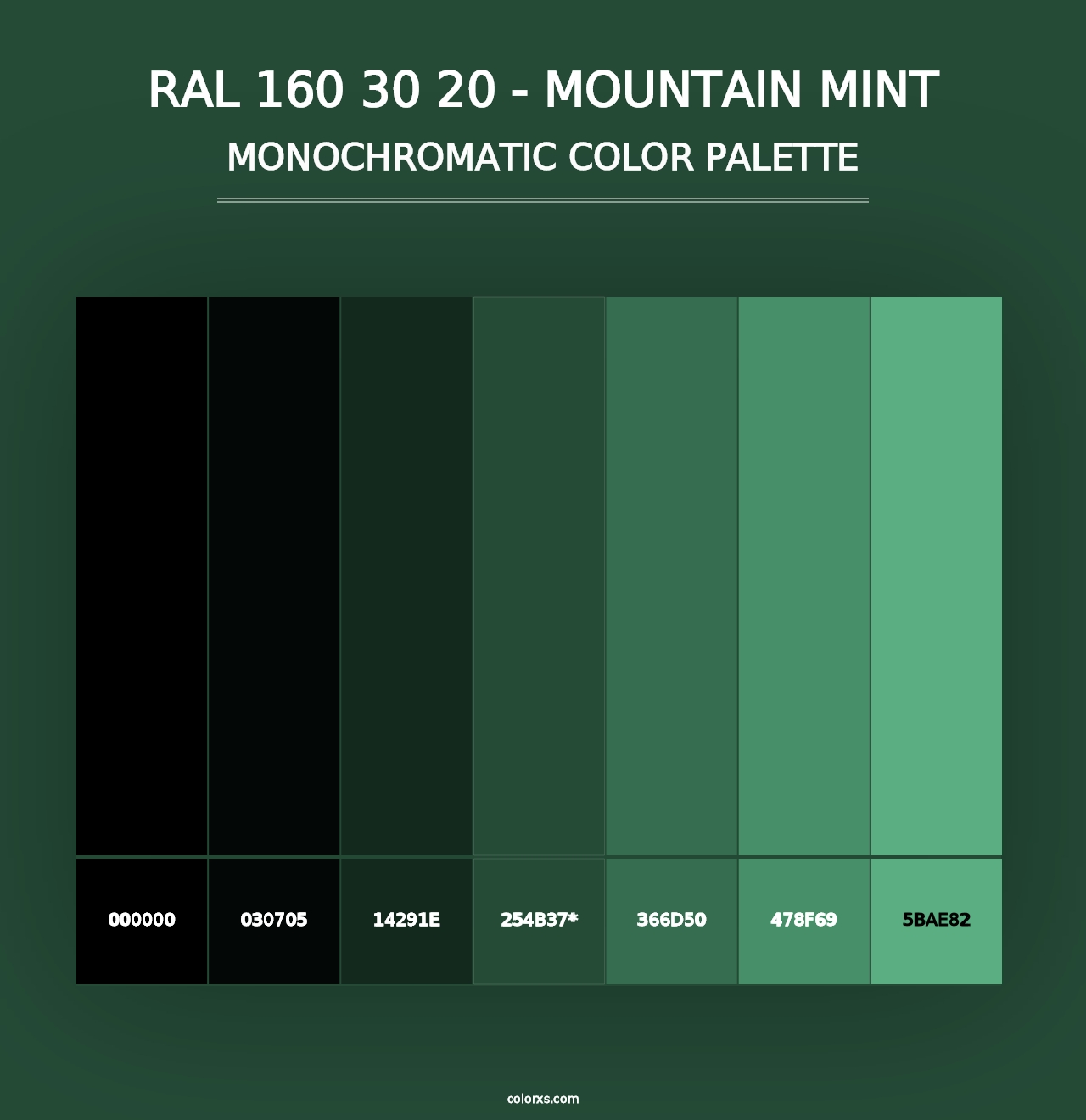 RAL 160 30 20 - Mountain Mint - Monochromatic Color Palette