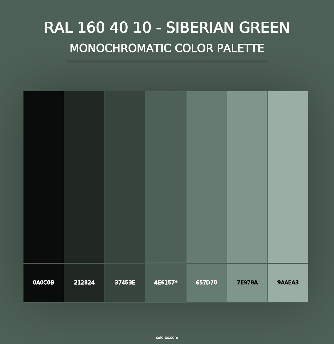 RAL 160 40 10 - Siberian Green - Monochromatic Color Palette