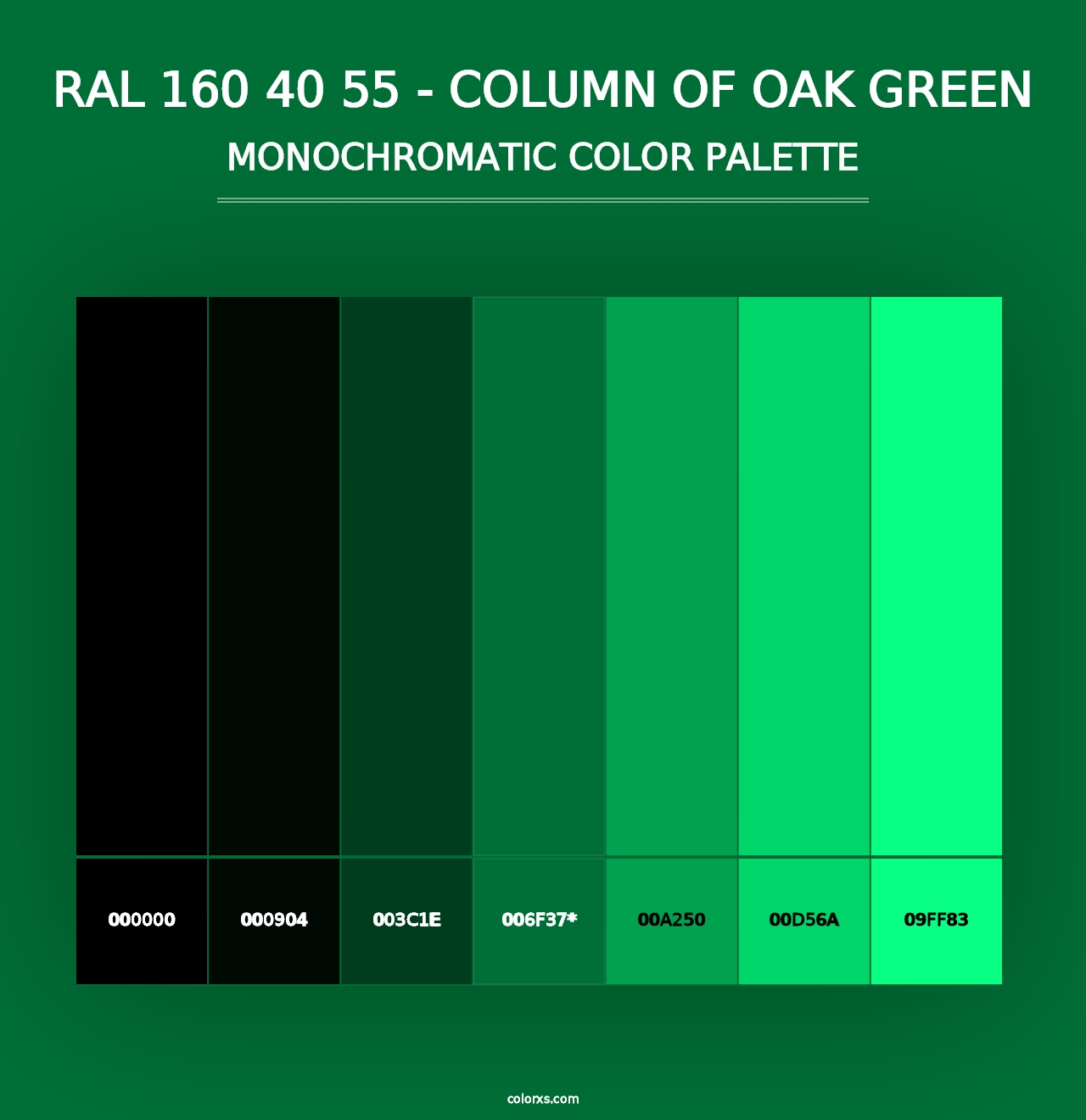 RAL 160 40 55 - Column Of Oak Green - Monochromatic Color Palette