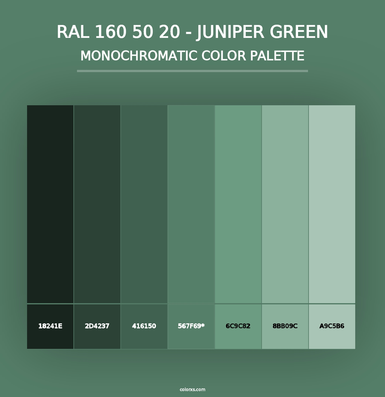 RAL 160 50 20 - Juniper Green - Monochromatic Color Palette