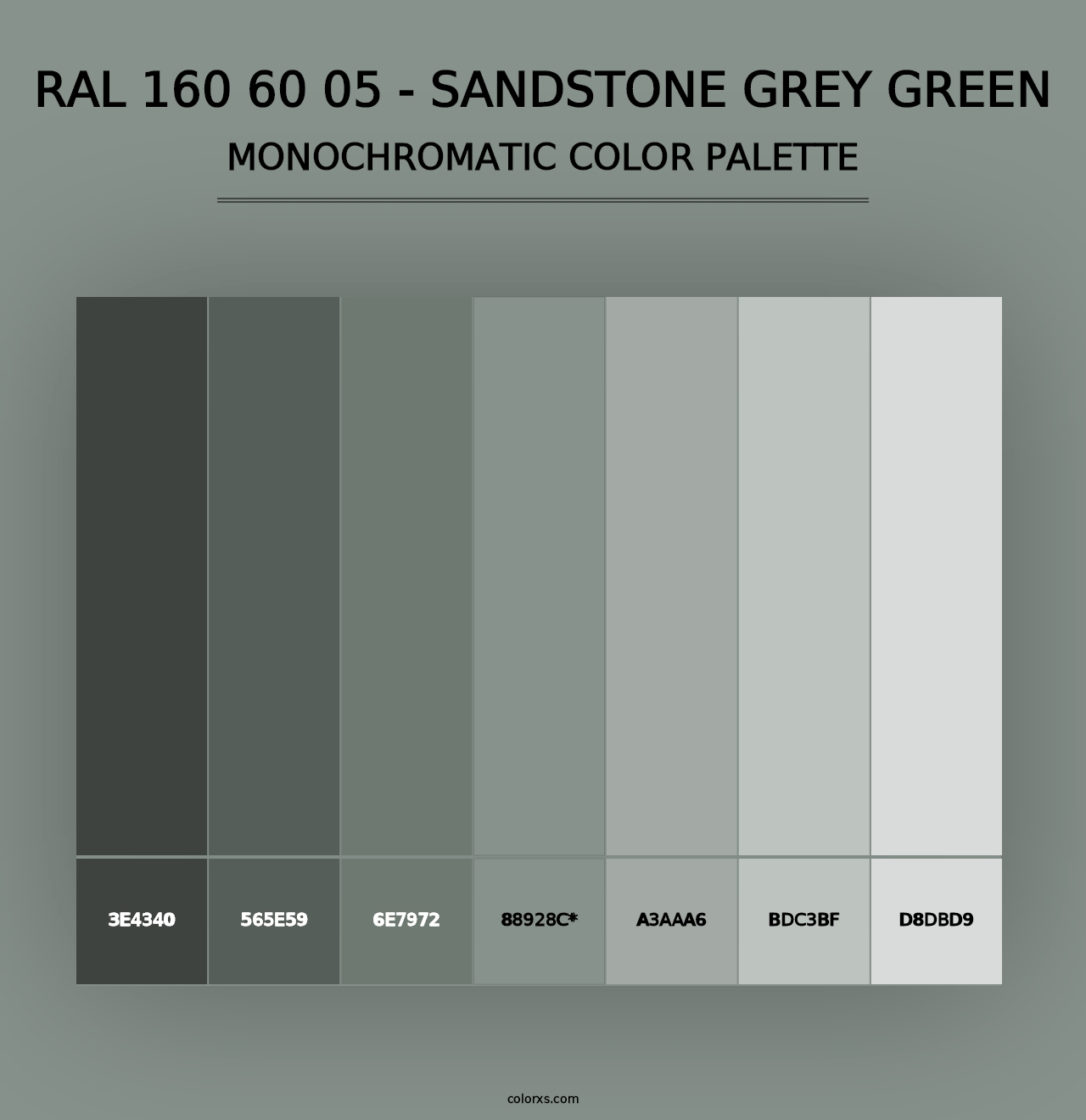 RAL 160 60 05 - Sandstone Grey Green - Monochromatic Color Palette