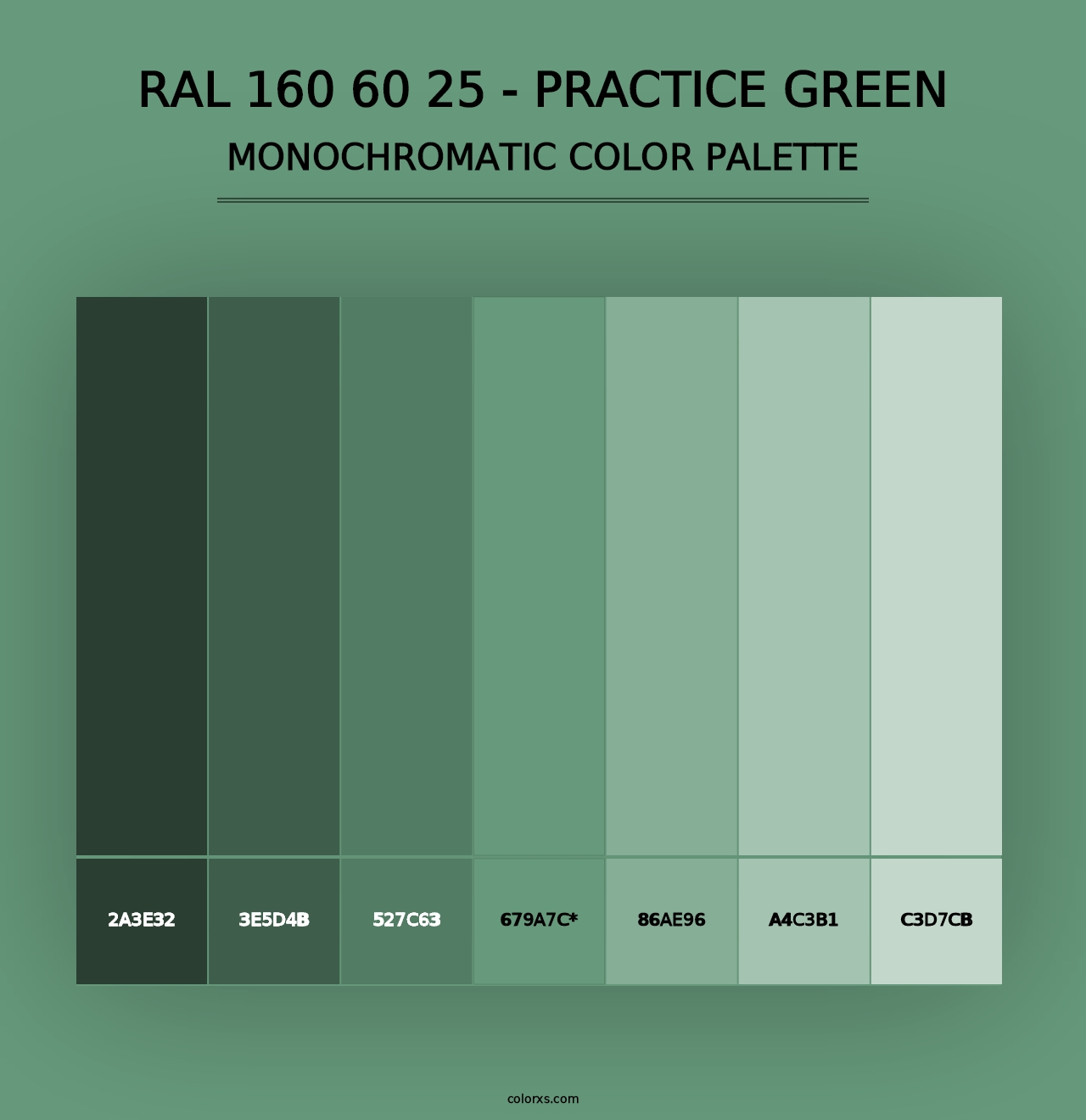 RAL 160 60 25 - Practice Green - Monochromatic Color Palette