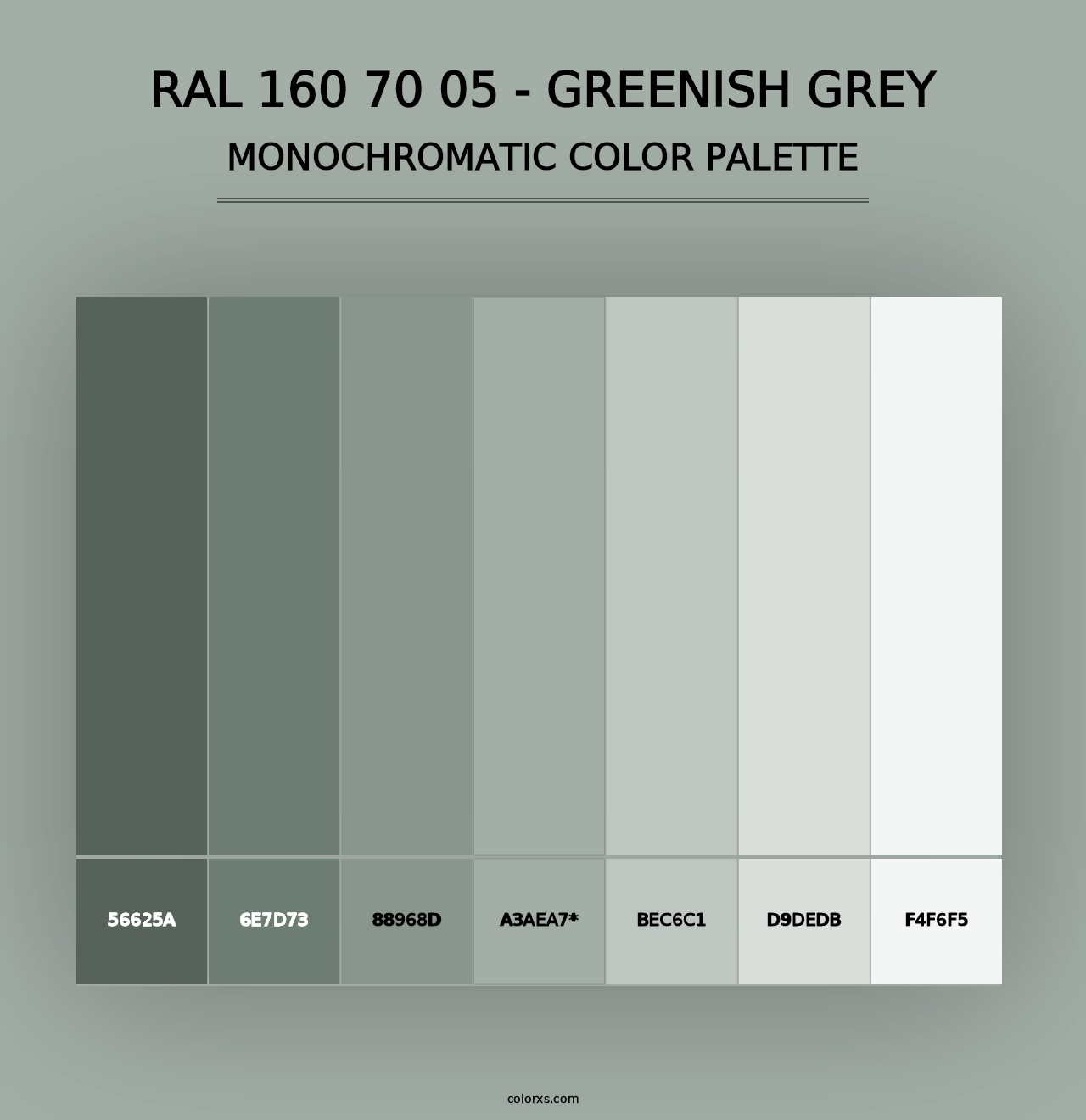 RAL 160 70 05 - Greenish Grey - Monochromatic Color Palette