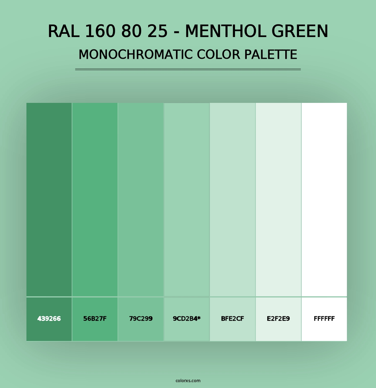 RAL 160 80 25 - Menthol Green - Monochromatic Color Palette