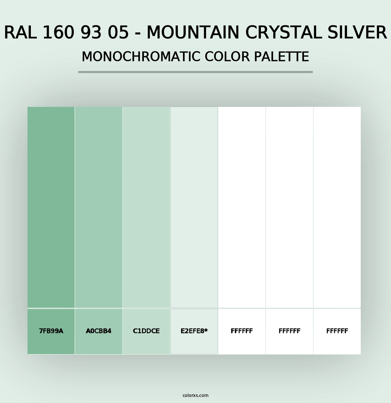 RAL 160 93 05 - Mountain Crystal Silver - Monochromatic Color Palette