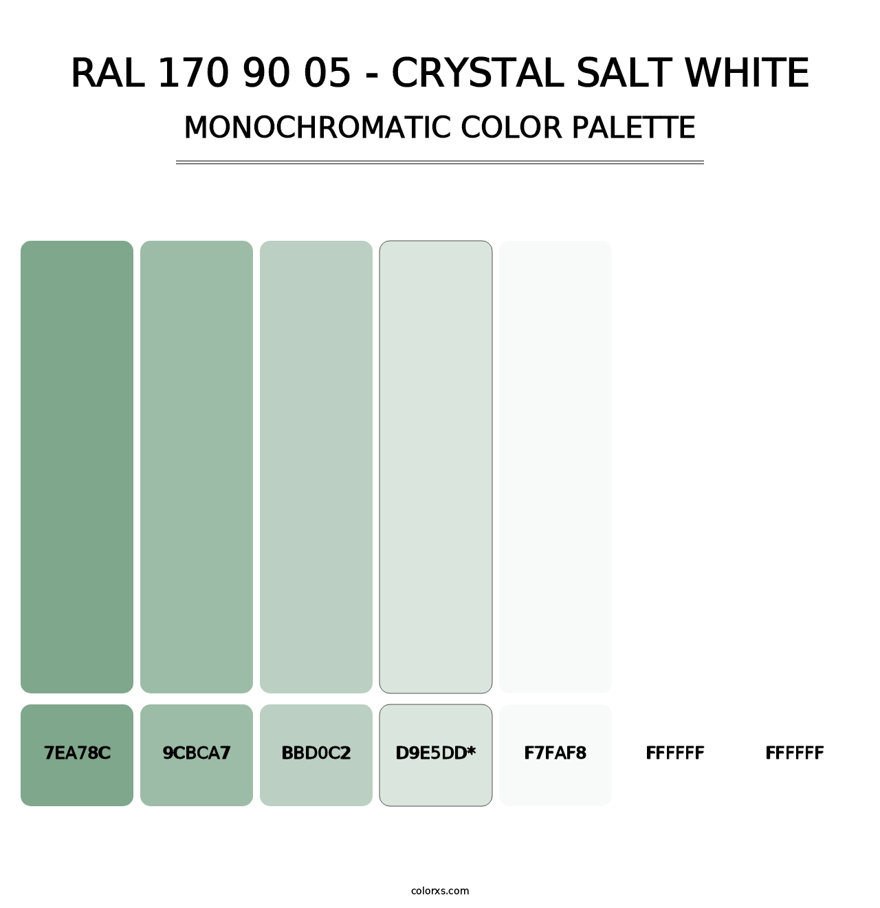 RAL 170 90 05 - Crystal Salt White - Monochromatic Color Palette