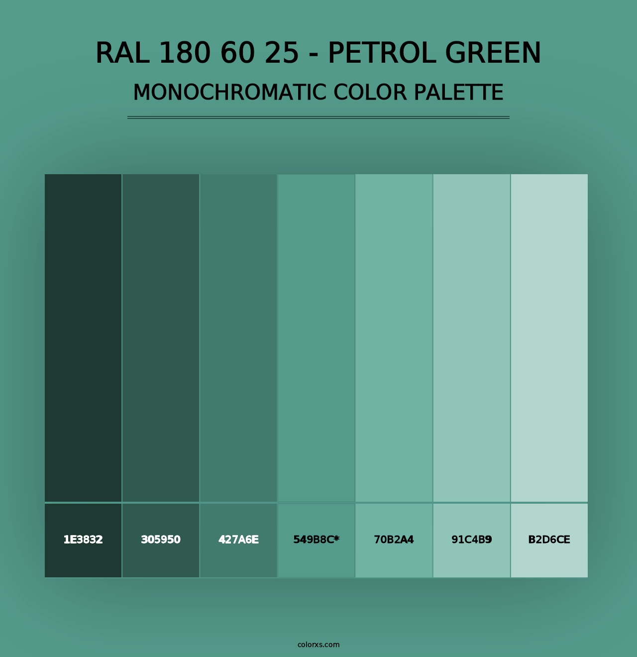 RAL 180 60 25 - Petrol Green - Monochromatic Color Palette