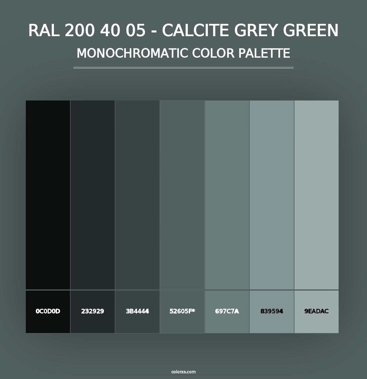 RAL 200 40 05 - Calcite Grey Green - Monochromatic Color Palette